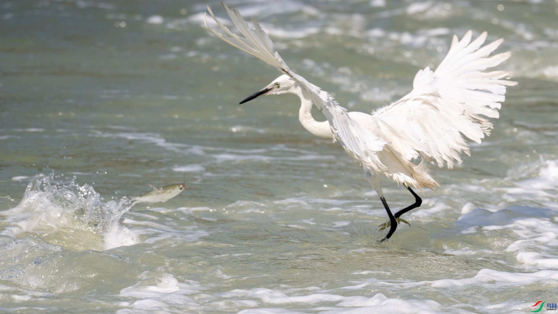 _DSC6837 ����.jpg