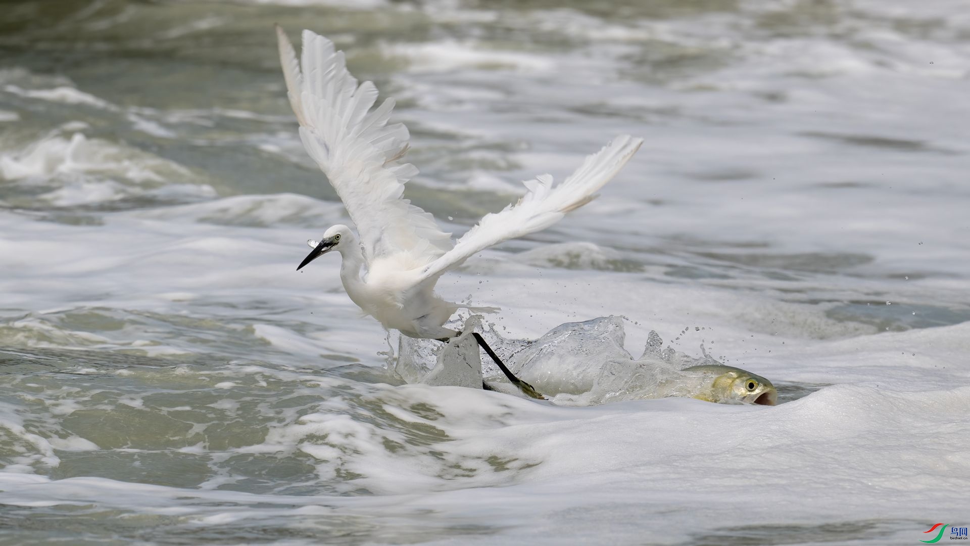 _DSC7654 ����.jpg