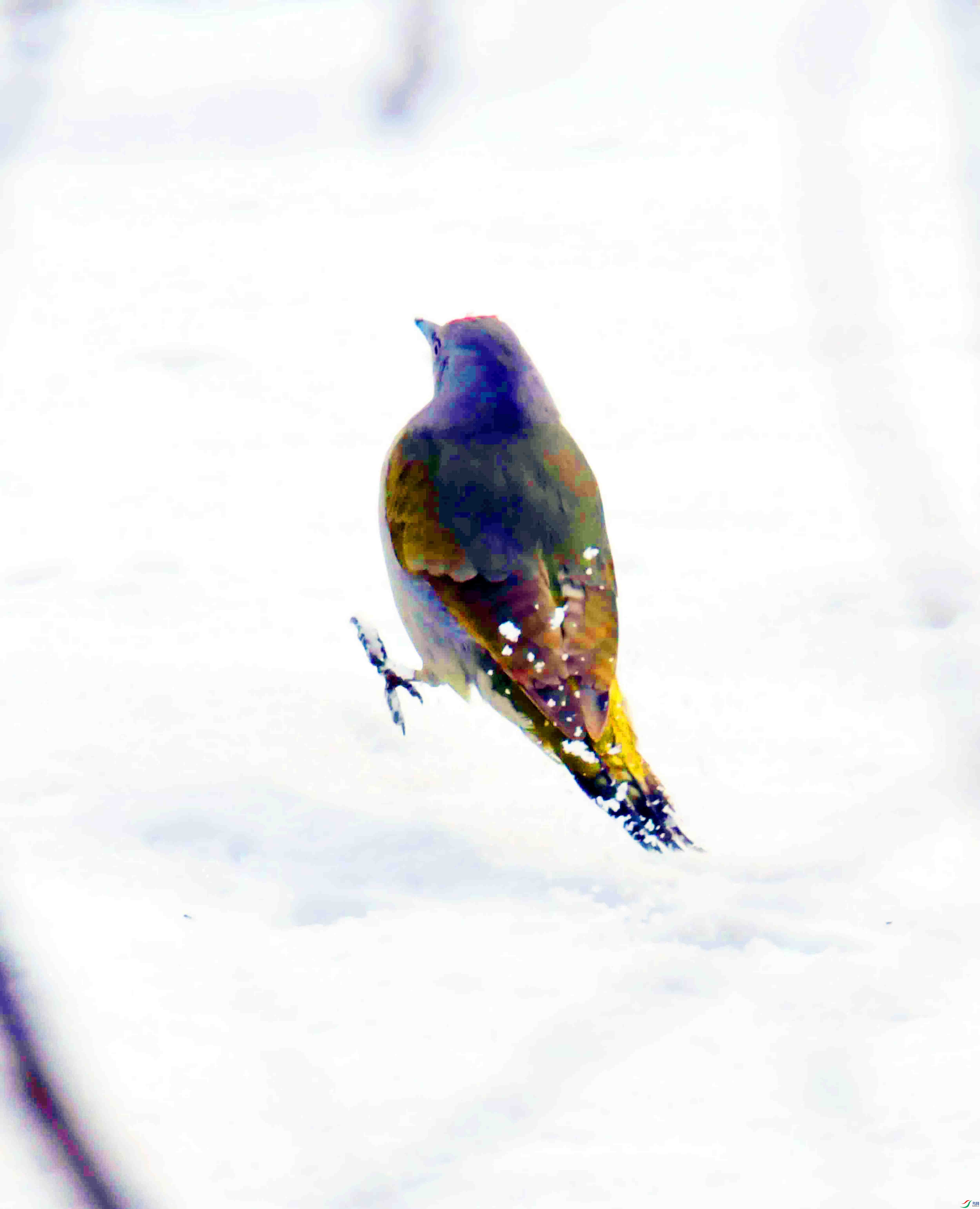 DSC_2654.JPG