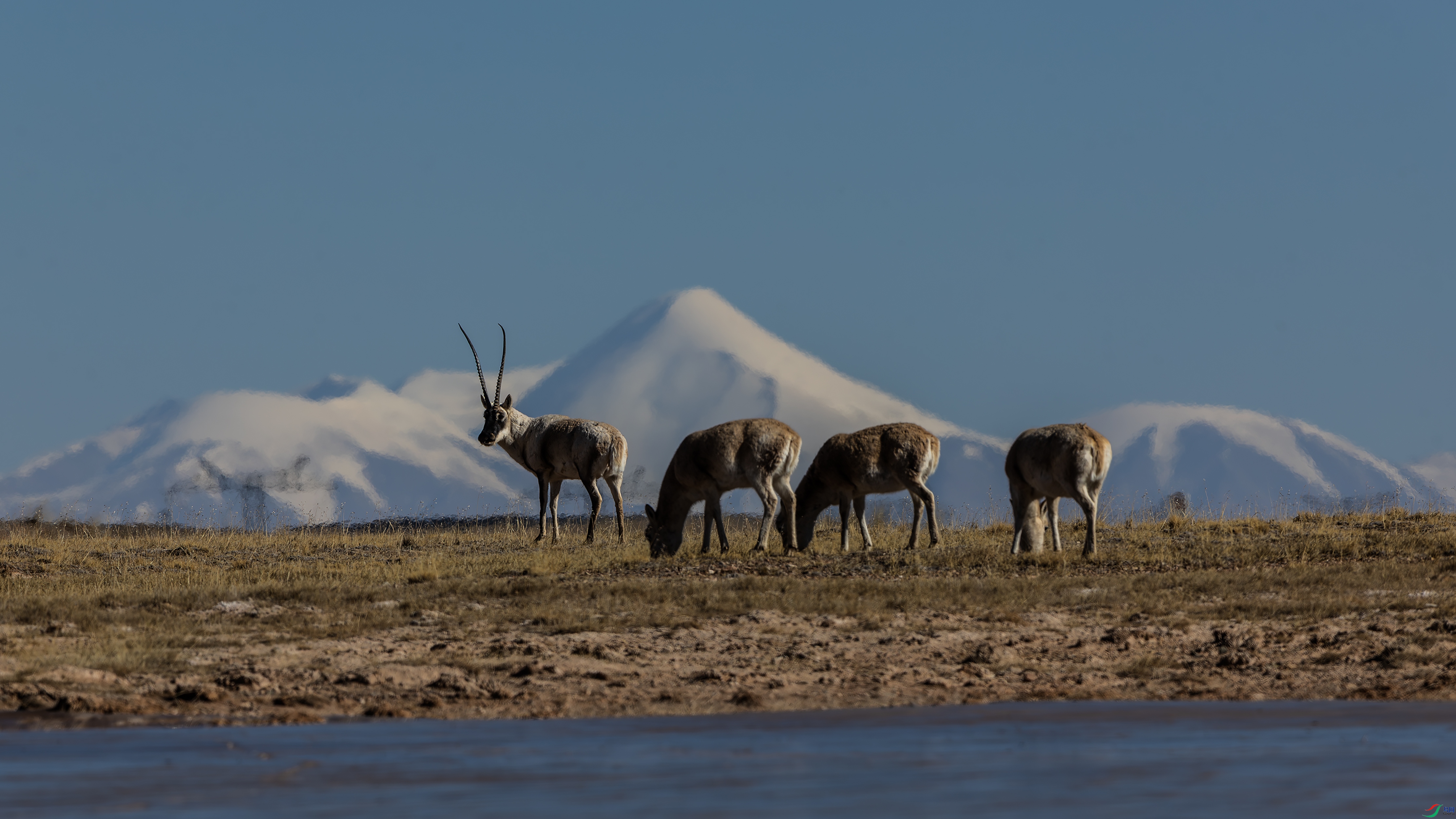 ʥ����Ⱥ 02.jpg