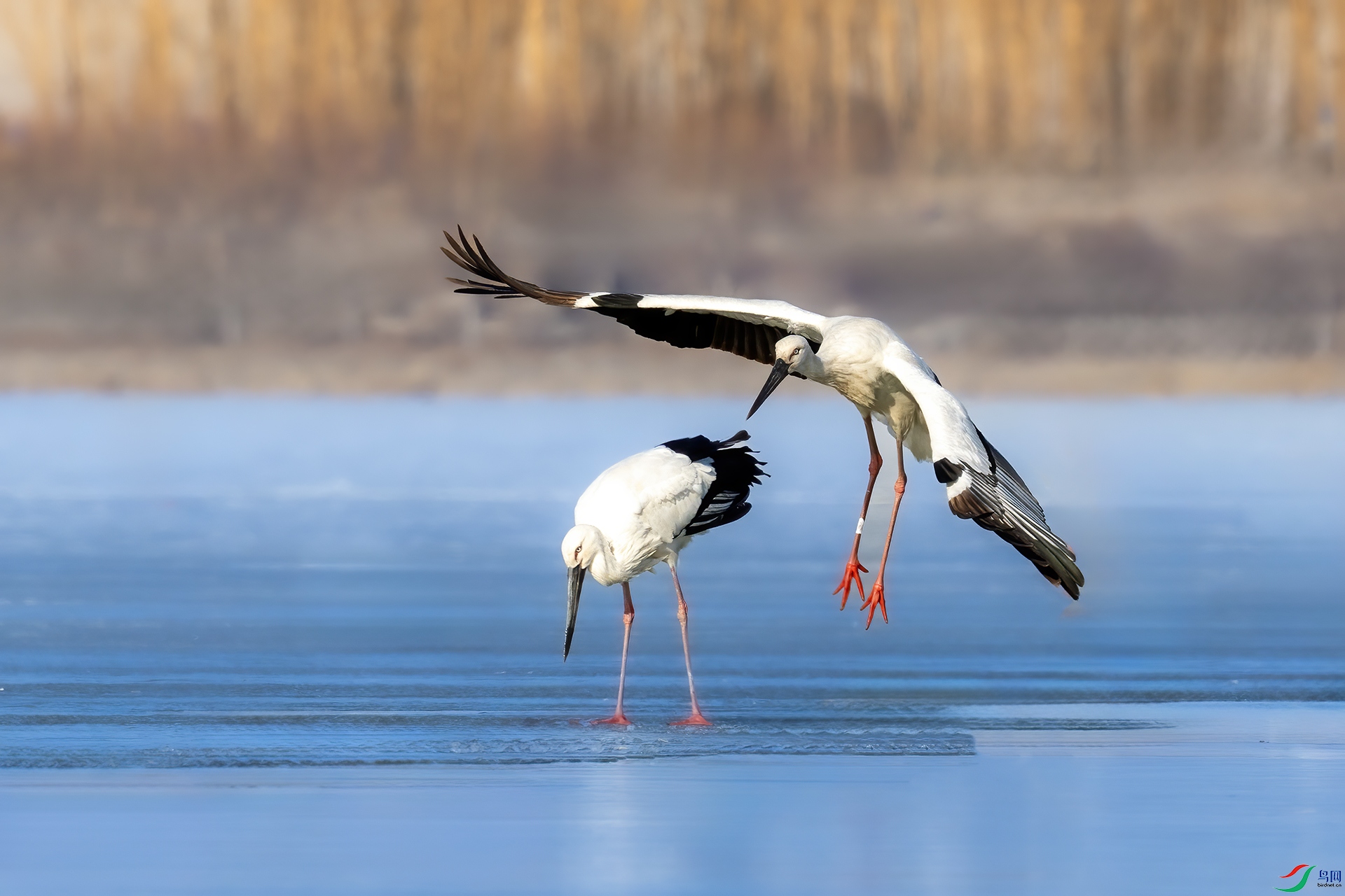 IMG_2651 ����.jpg