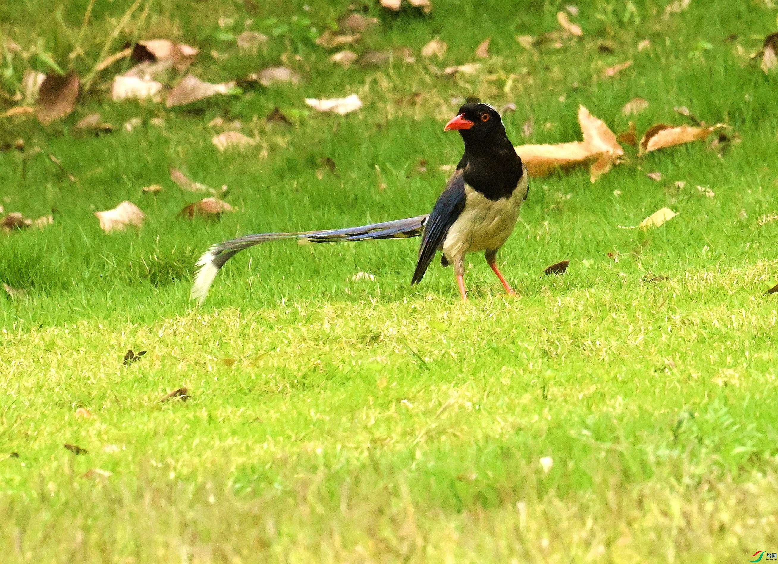 DSC_8022.JPG