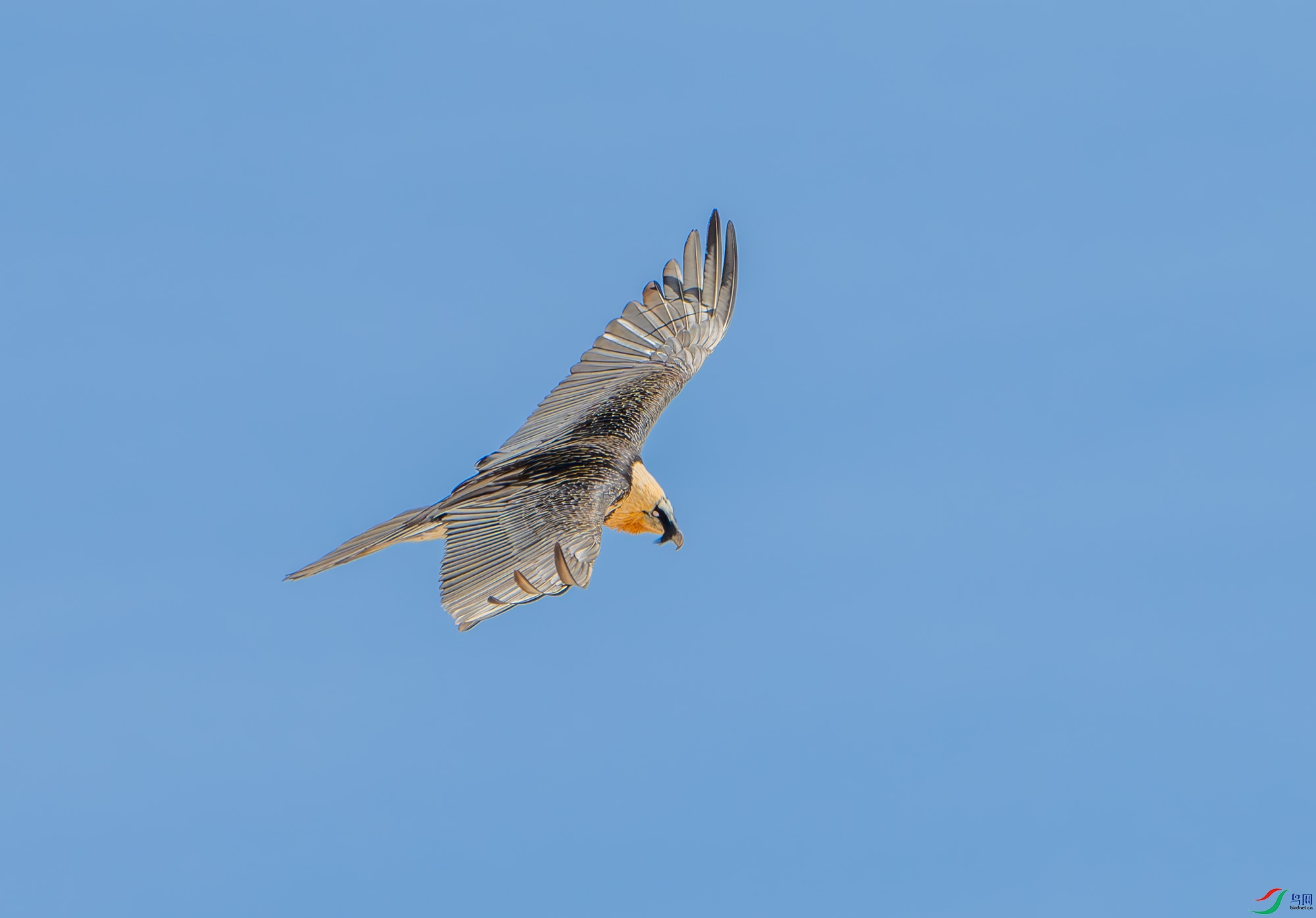 DSC_8772.jpg