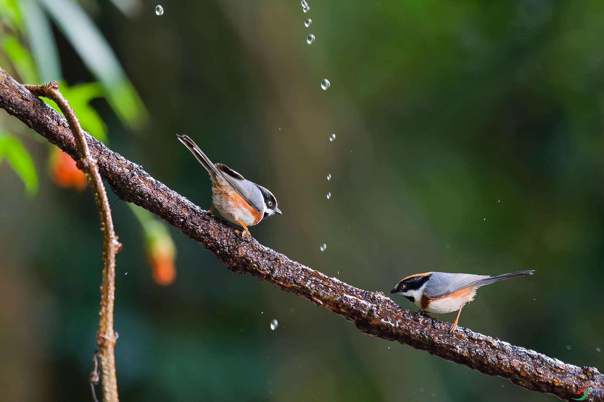 DSC_7165_DxO_DxOa.jpg