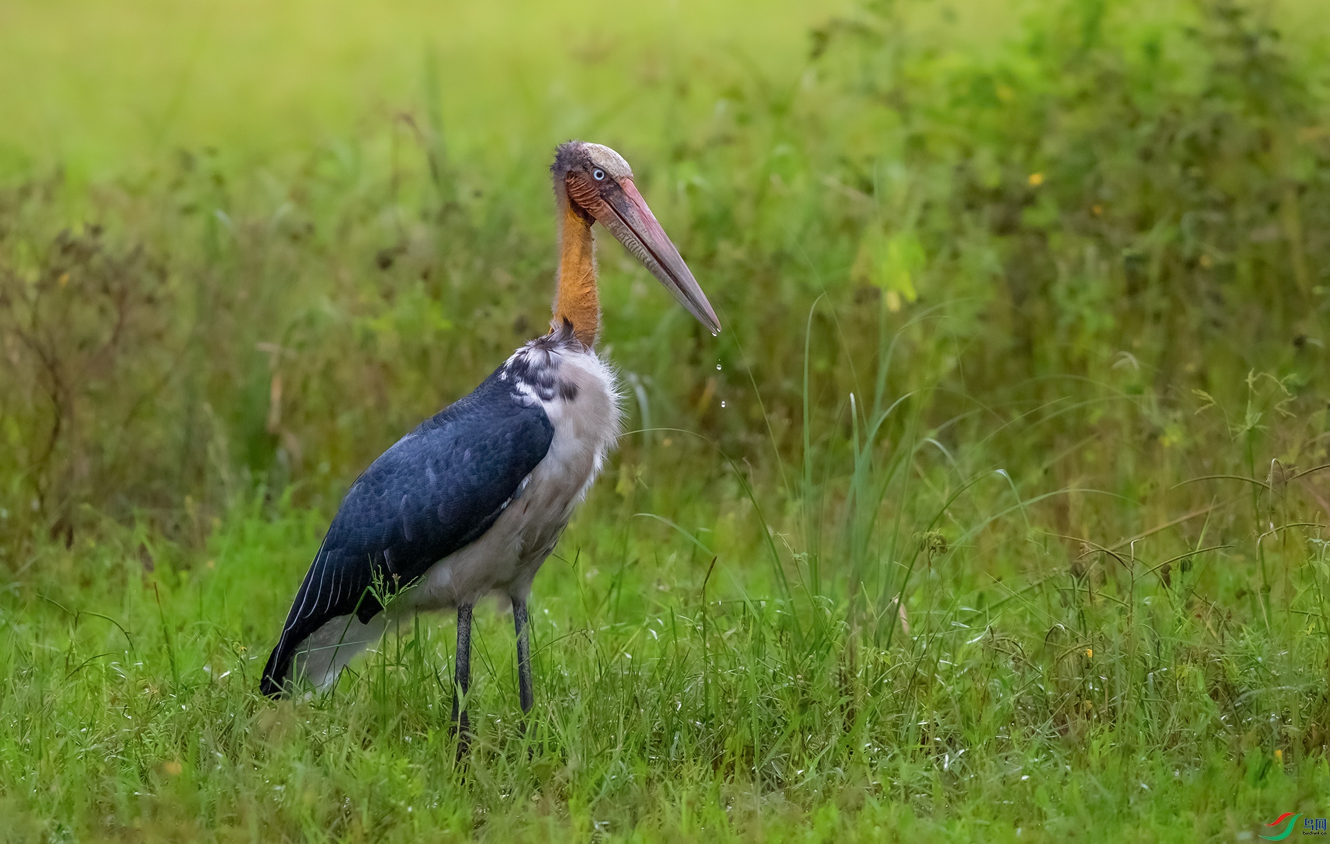 AK8I5912����  ͺ�� 03.jpg