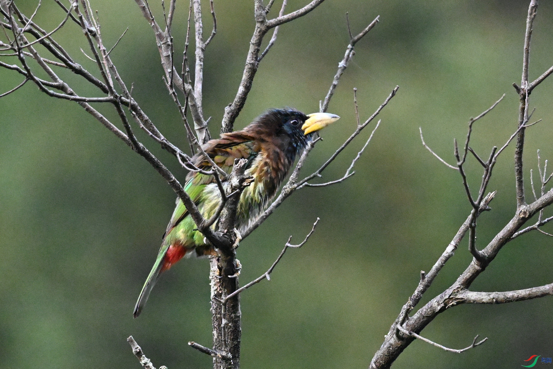 DSC_2552.JPG