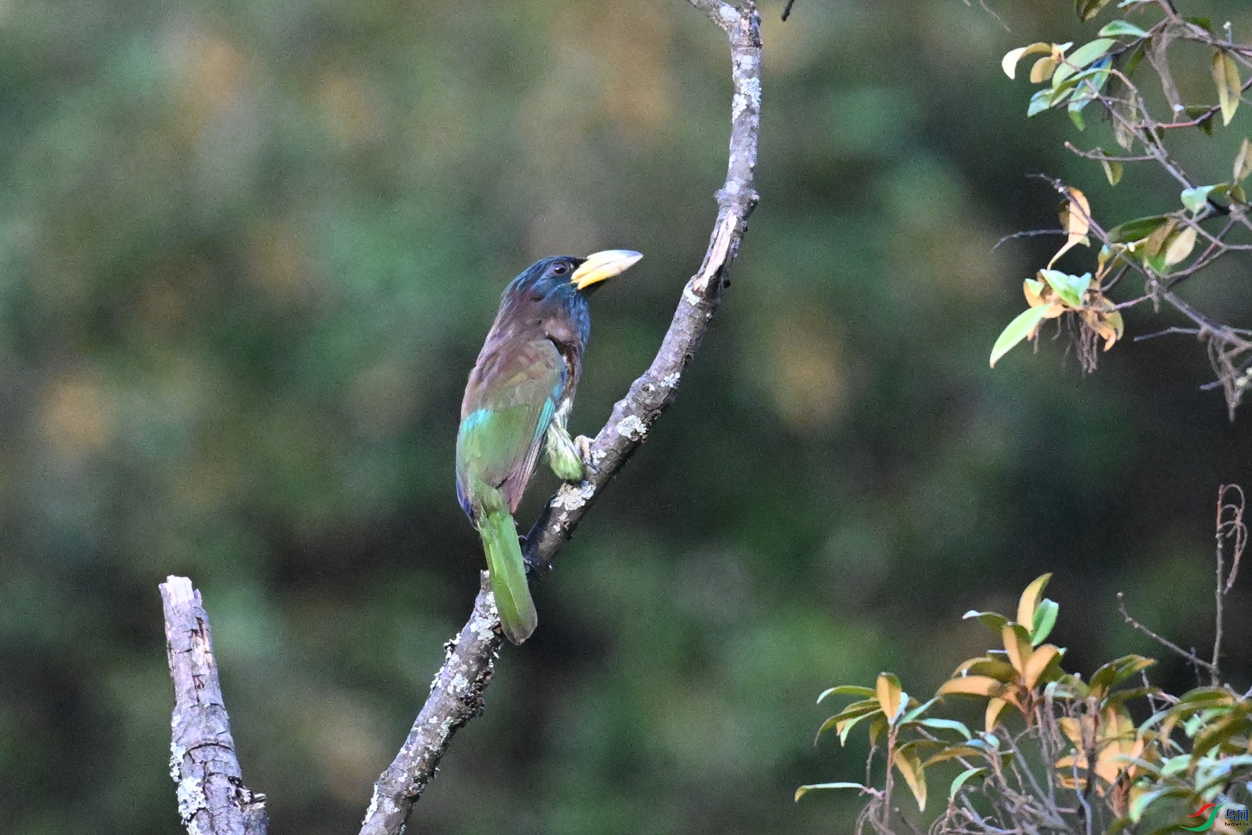 DSC_2540.JPG
