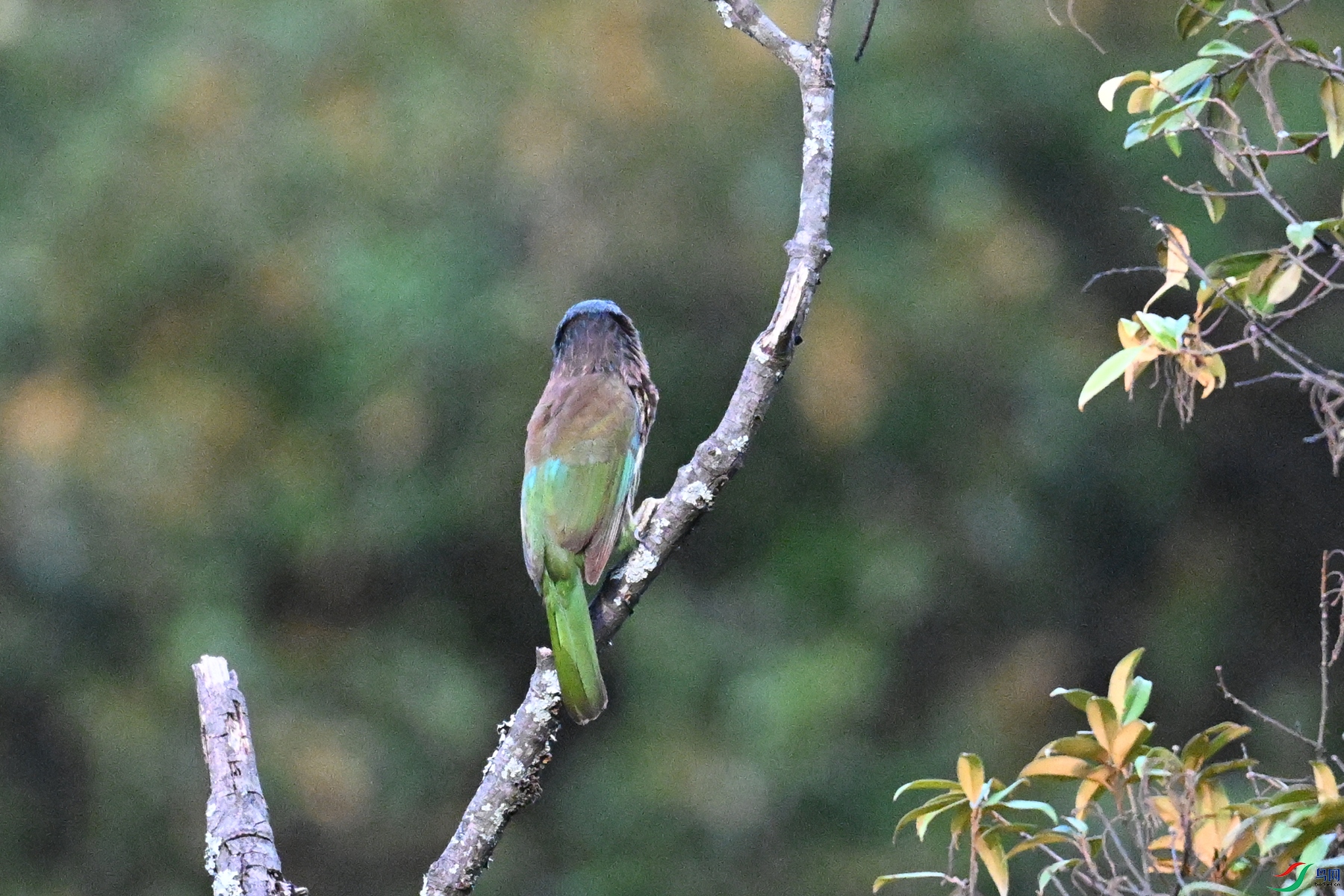 DSC_2542.JPG