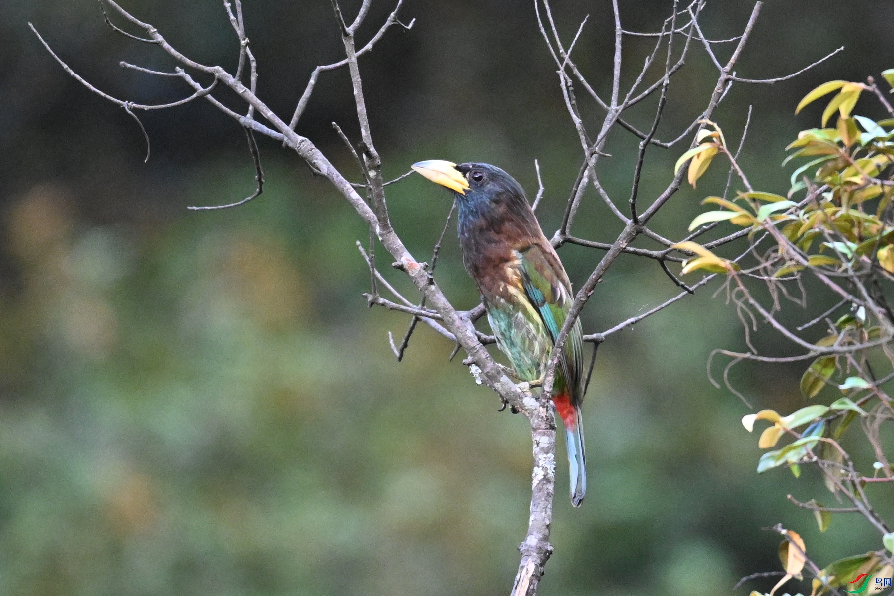 DSC_2562.JPG
