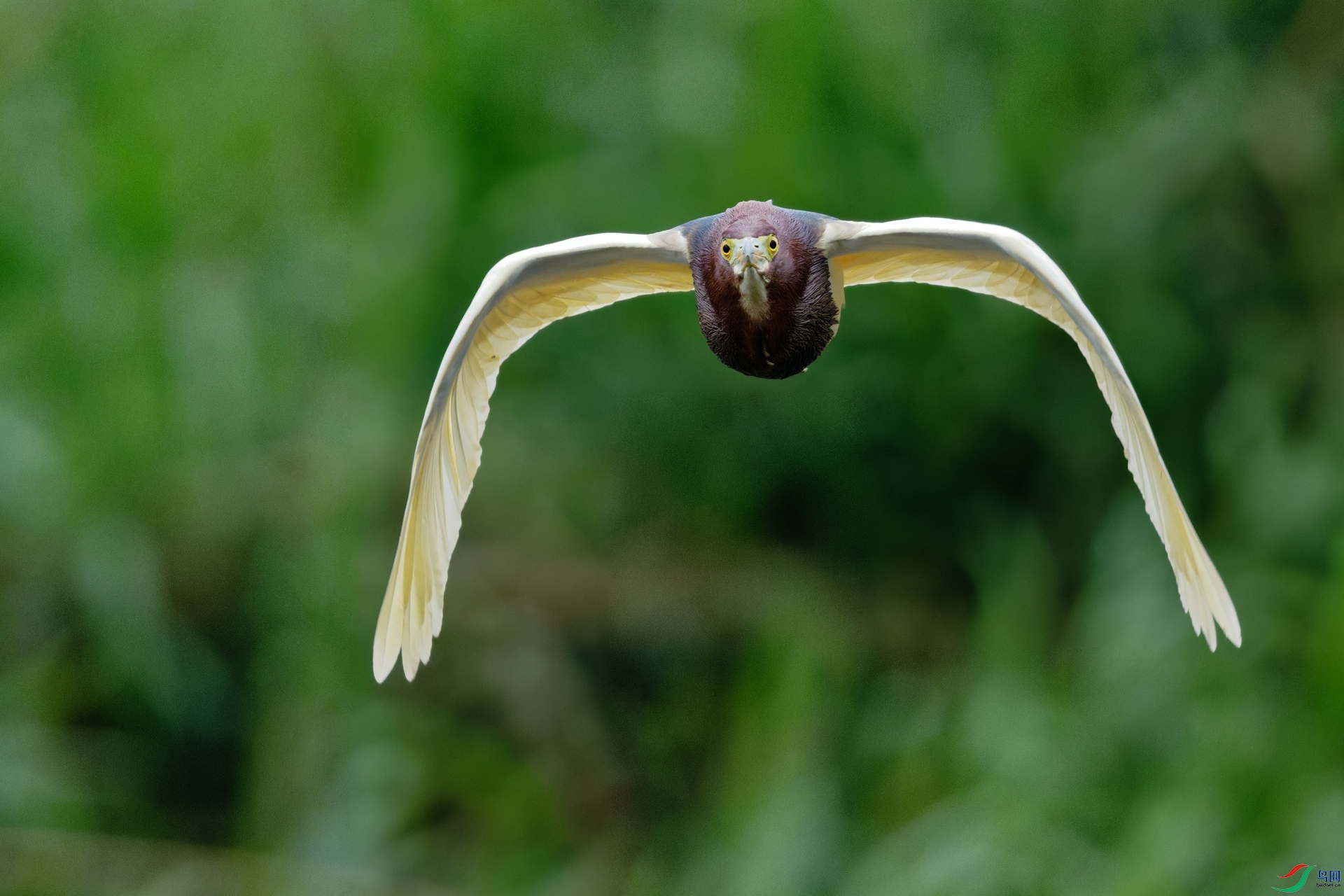 DSC_3057-DxO_DeepPRIME XD3_DxO_����_����.jpg