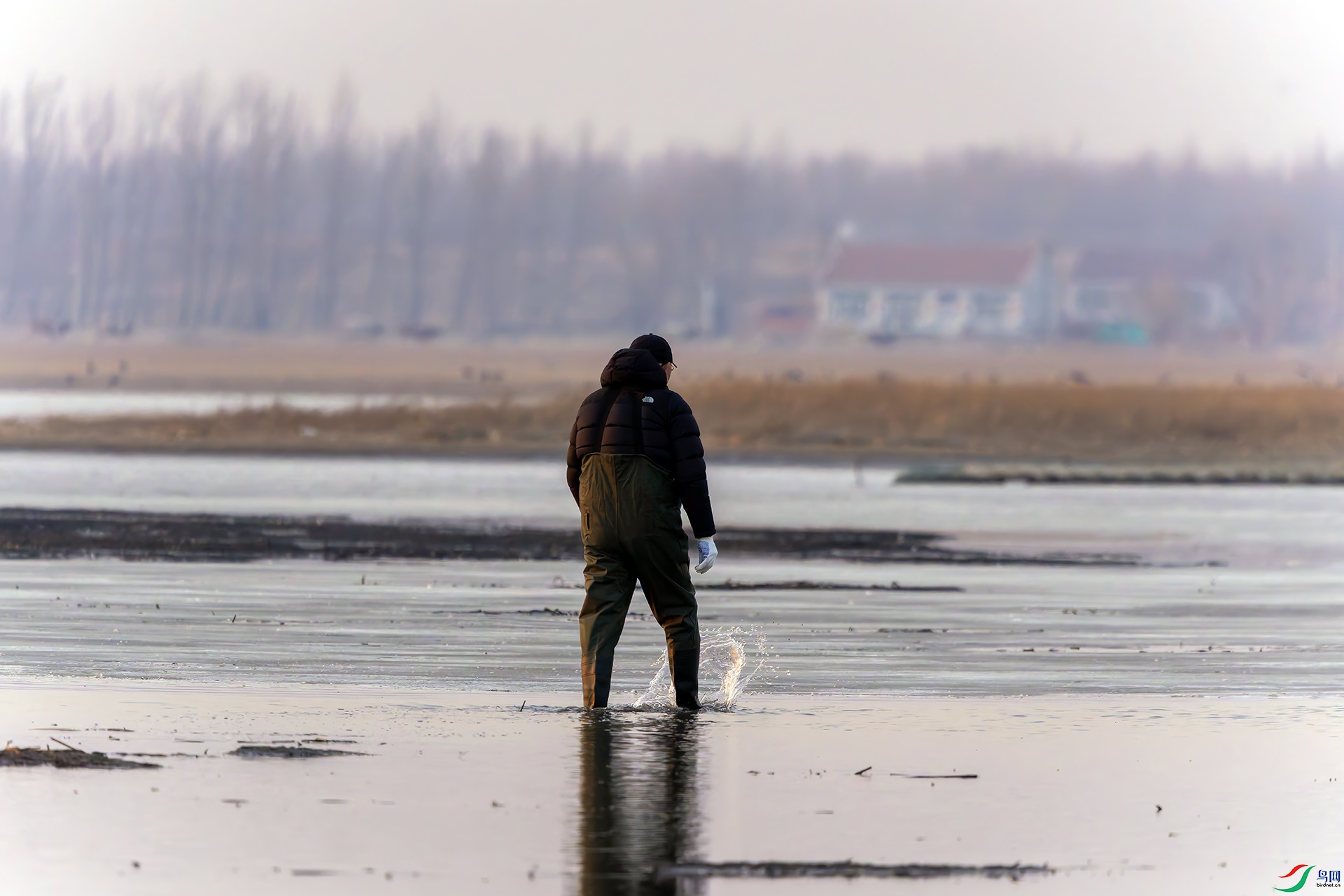 20260316-DSC03807 ����.jpg