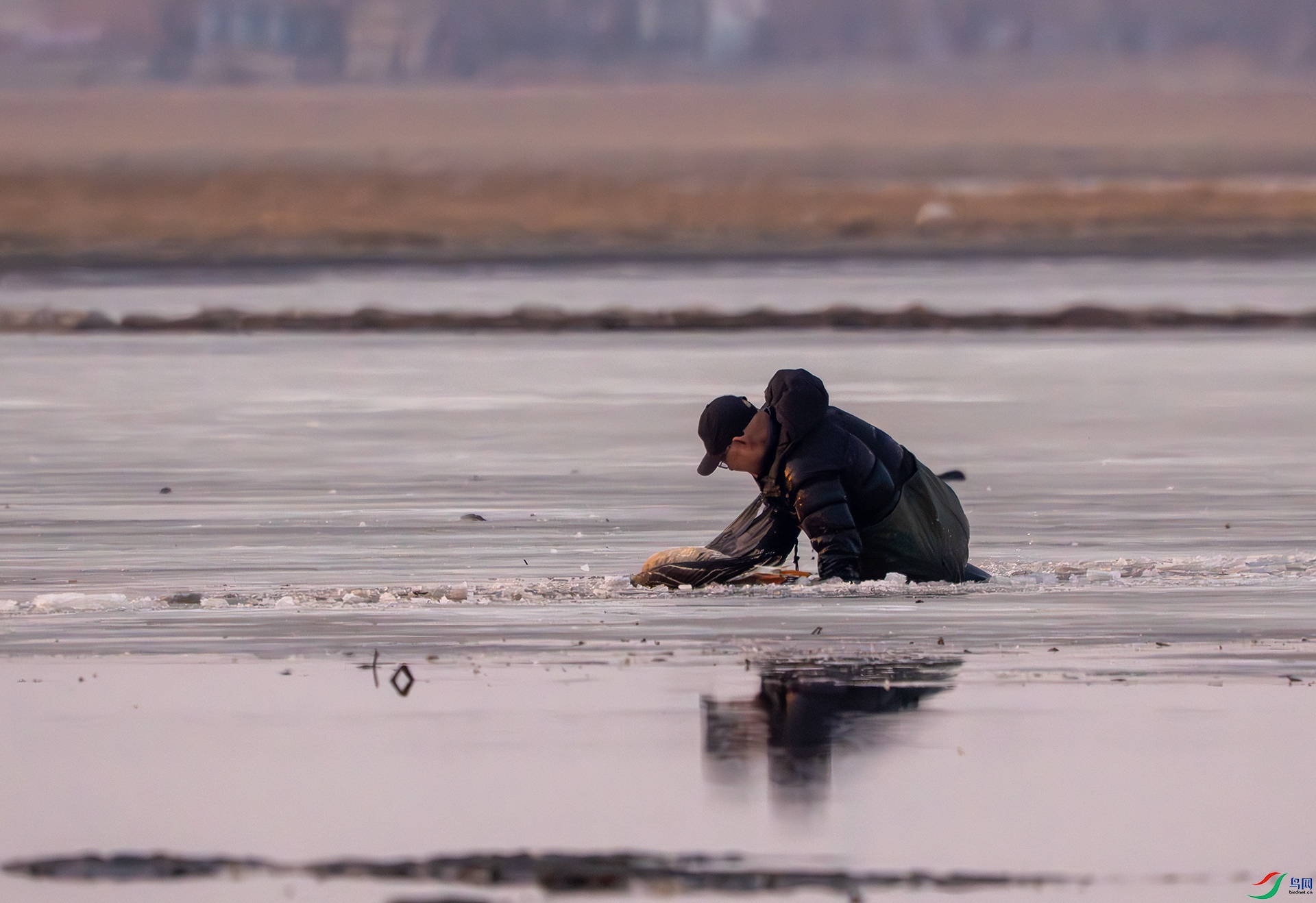 DSC03822 ����.jpg