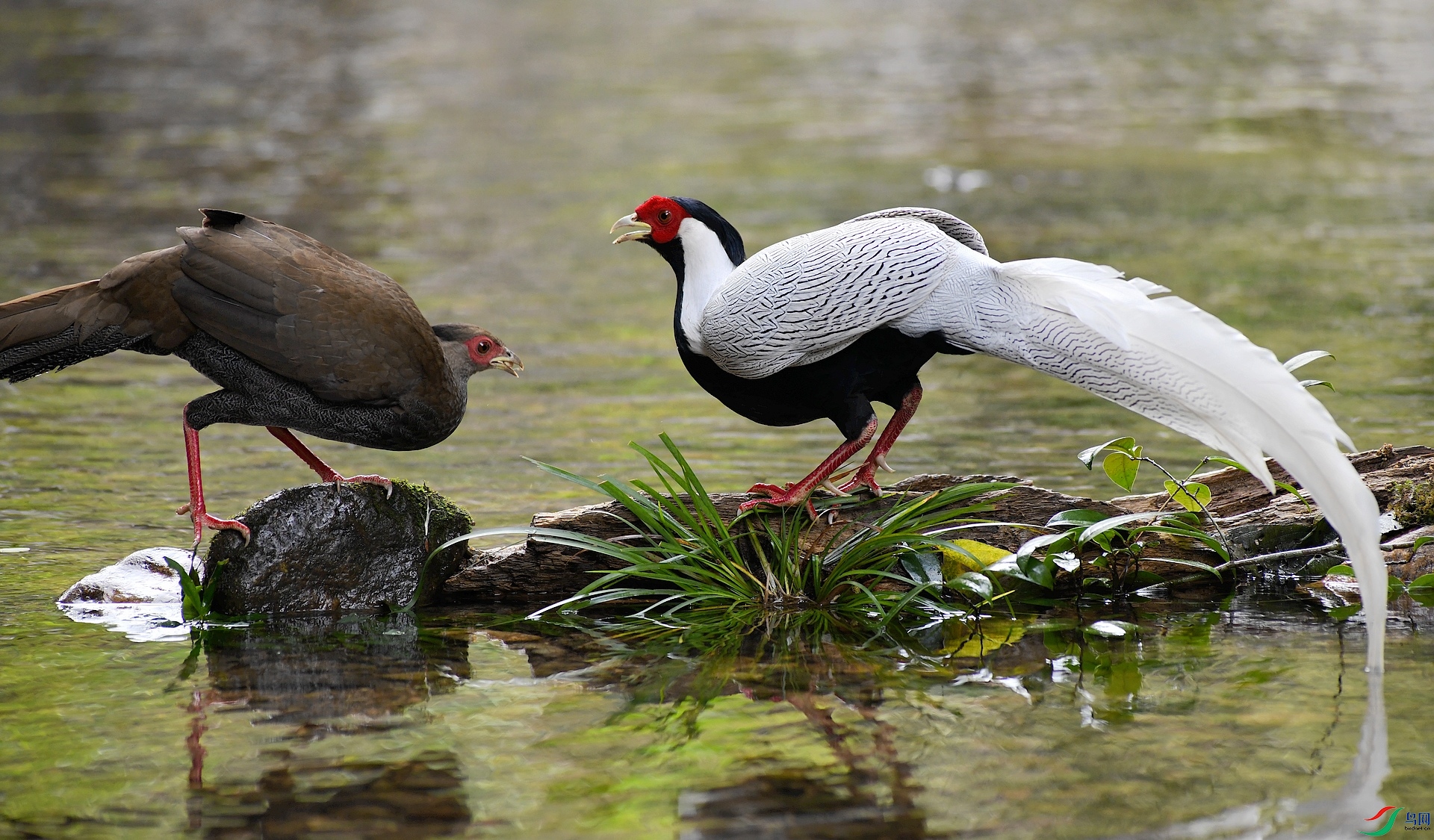 DSC_3357.jpg