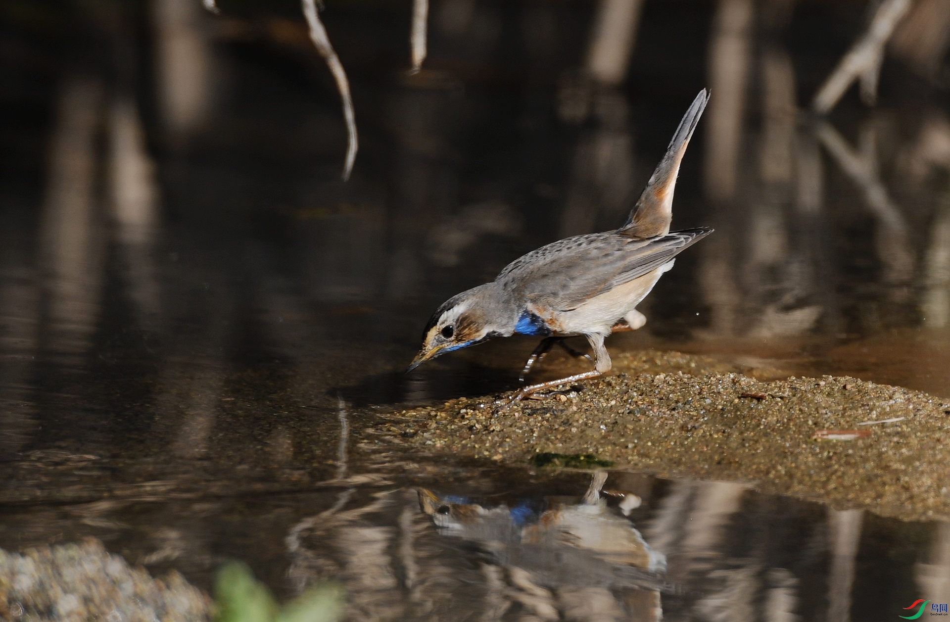 DSC_4949.jpg
