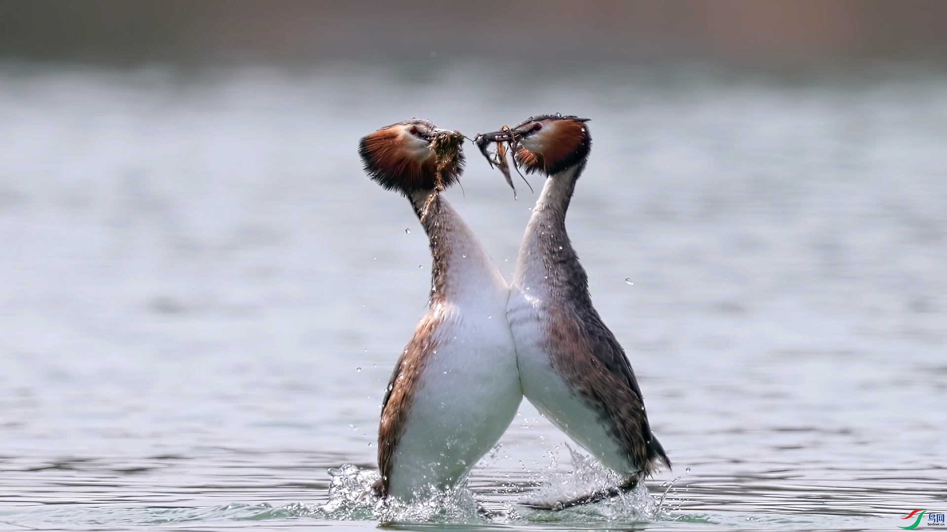 ��֡ 2026-03-19 130816_1.1.jpg