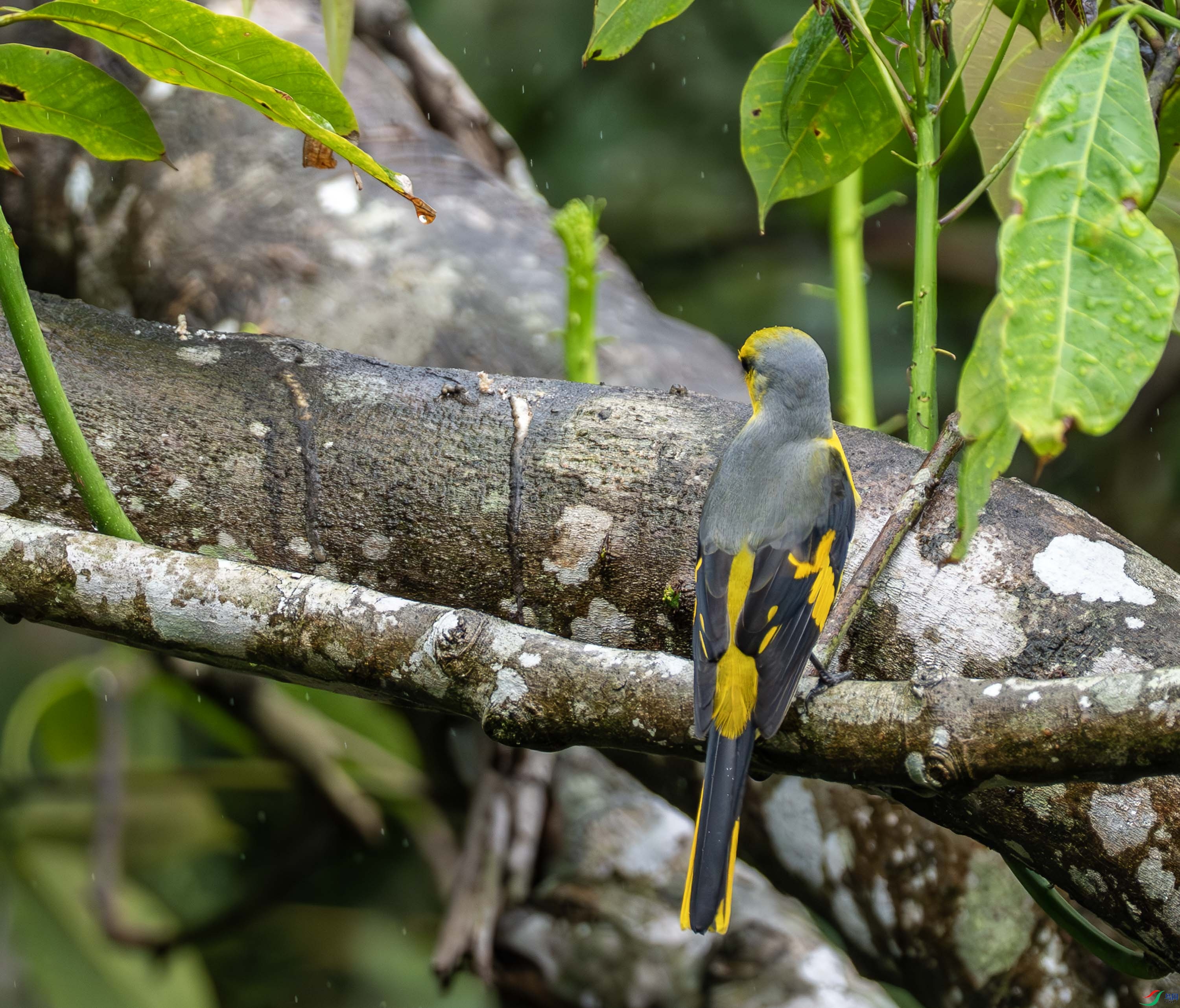 �Һ�ɽ����-6 (2).jpg