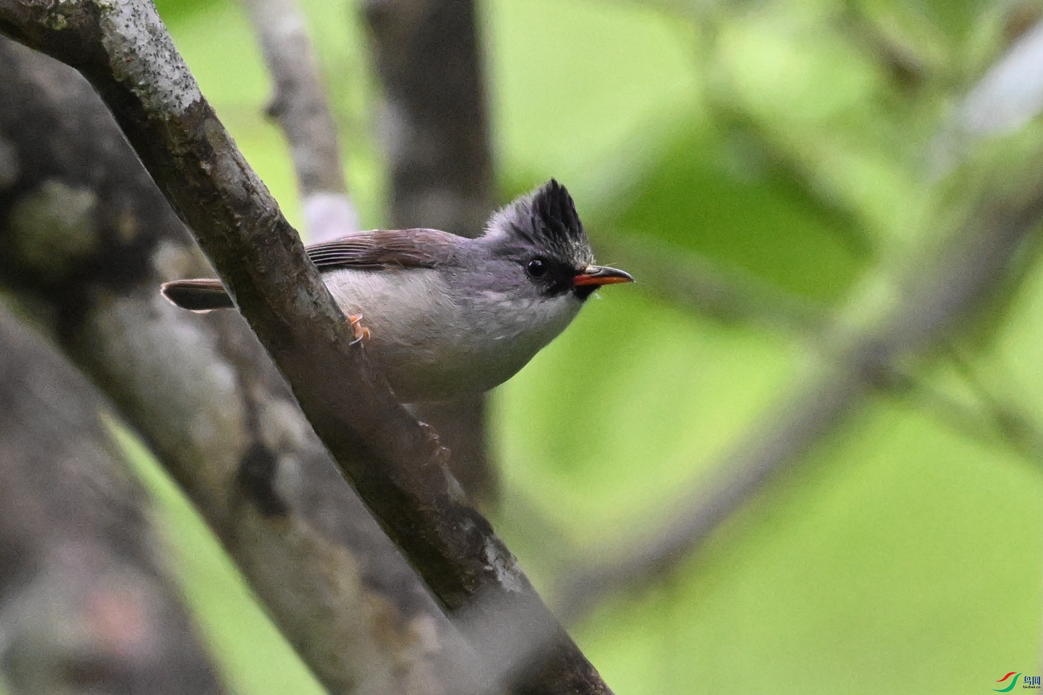 DSC_2574.JPG