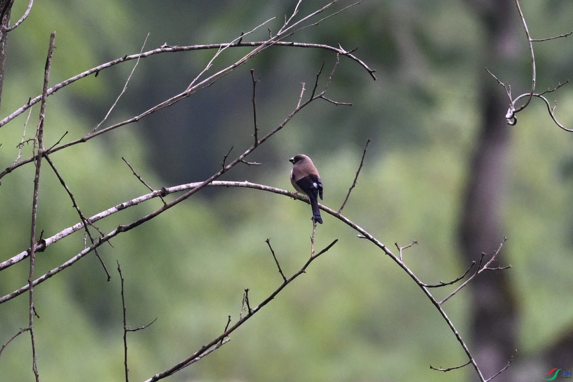 DSC_2585.JPG