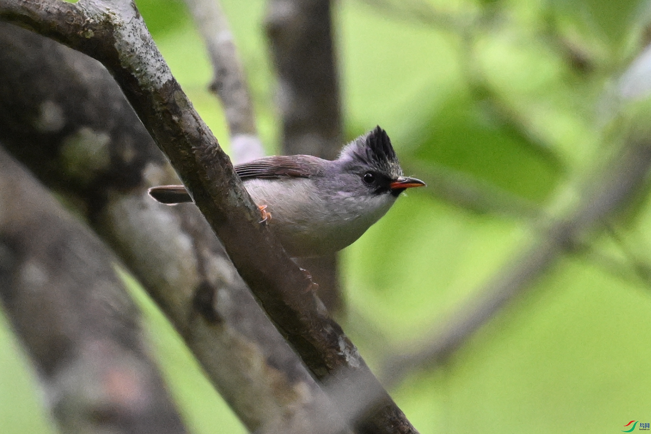 DSC_2575.JPG