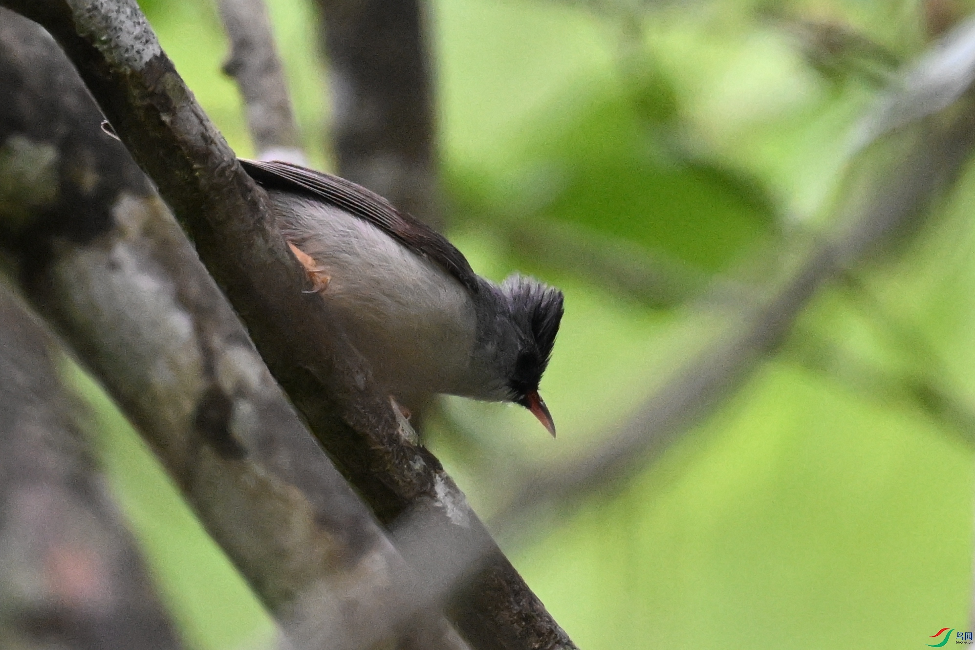DSC_2579.JPG