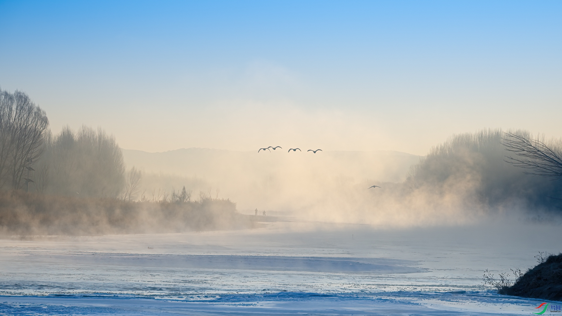 _DSC0923-1xx.jpg
