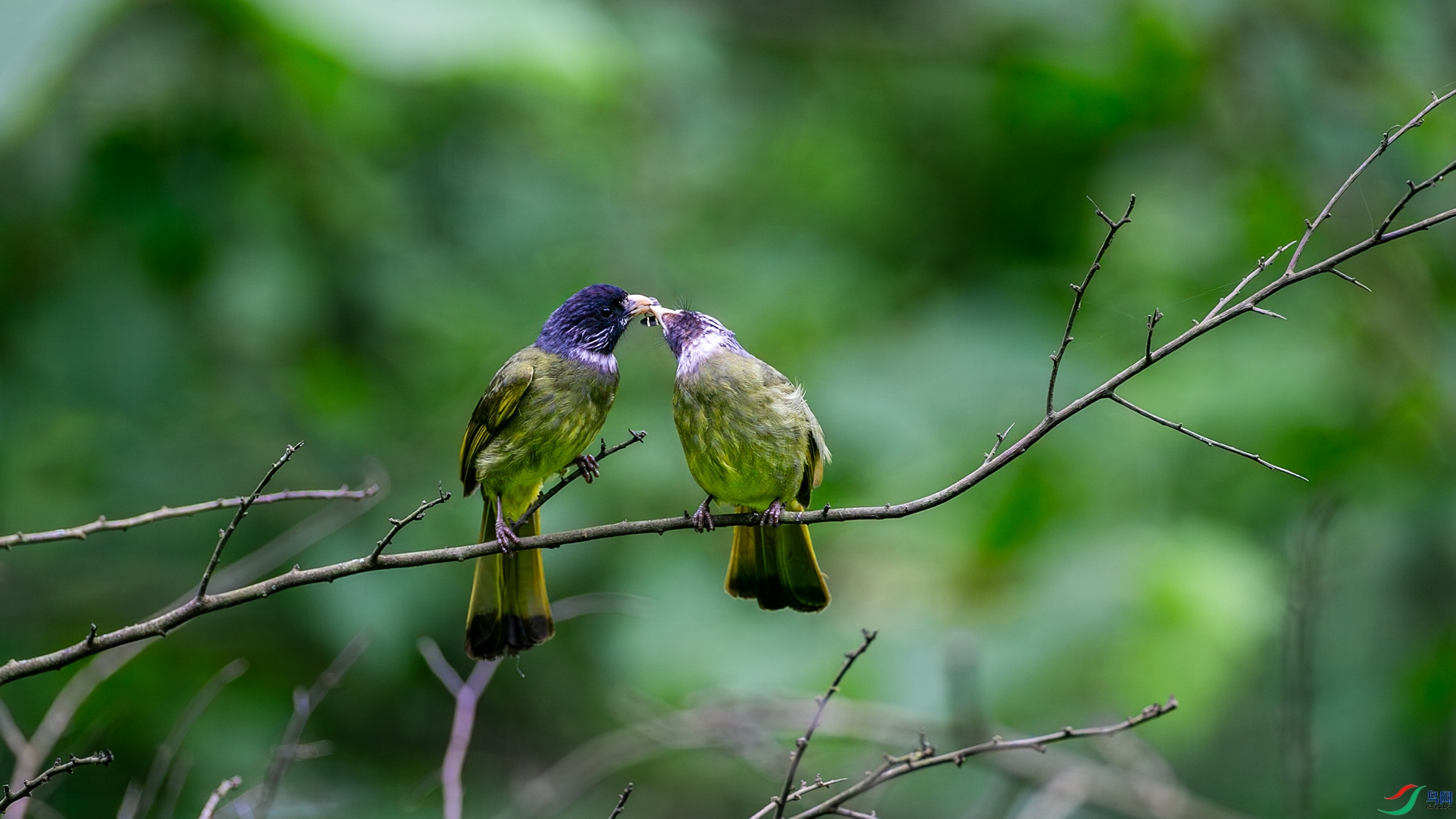 ��ȸ����