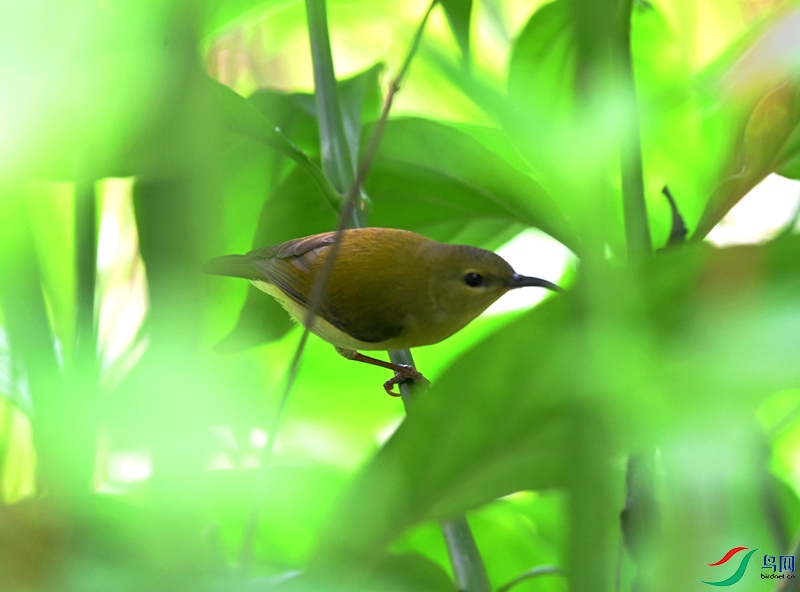 DSC_3482.JPG