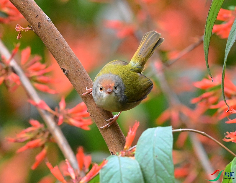 DSC_3521.JPG
