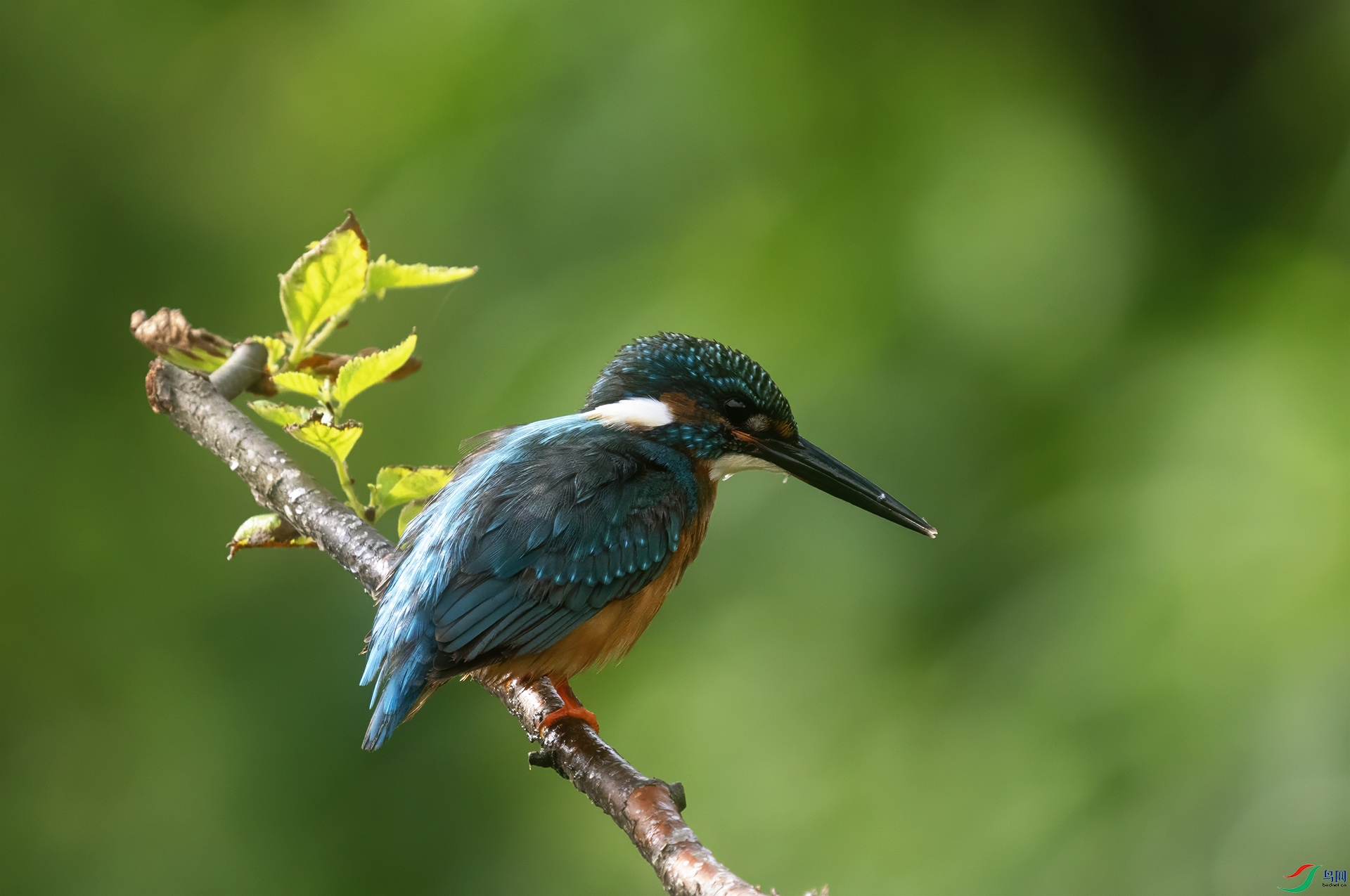 DSC02189 ����.jpg