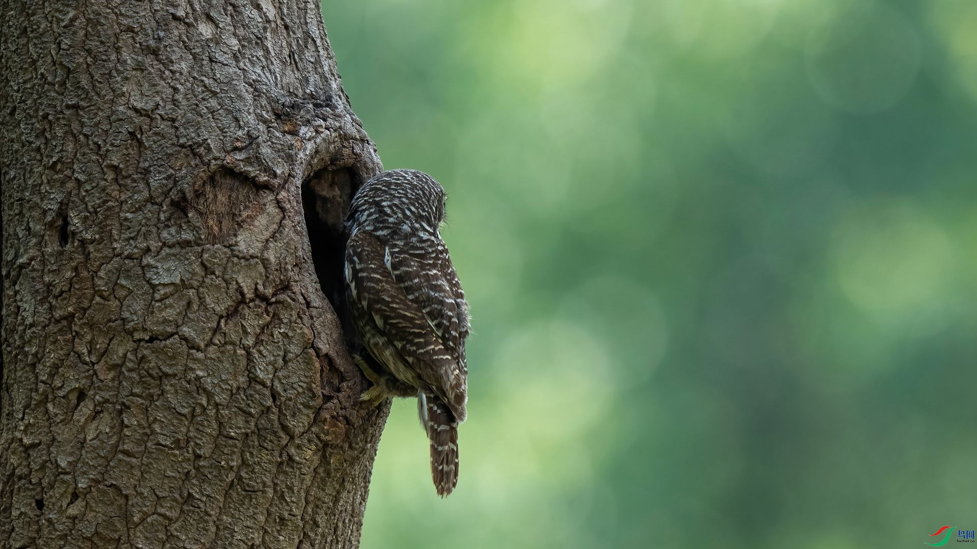 9��DSC07430-2 ����.jpg