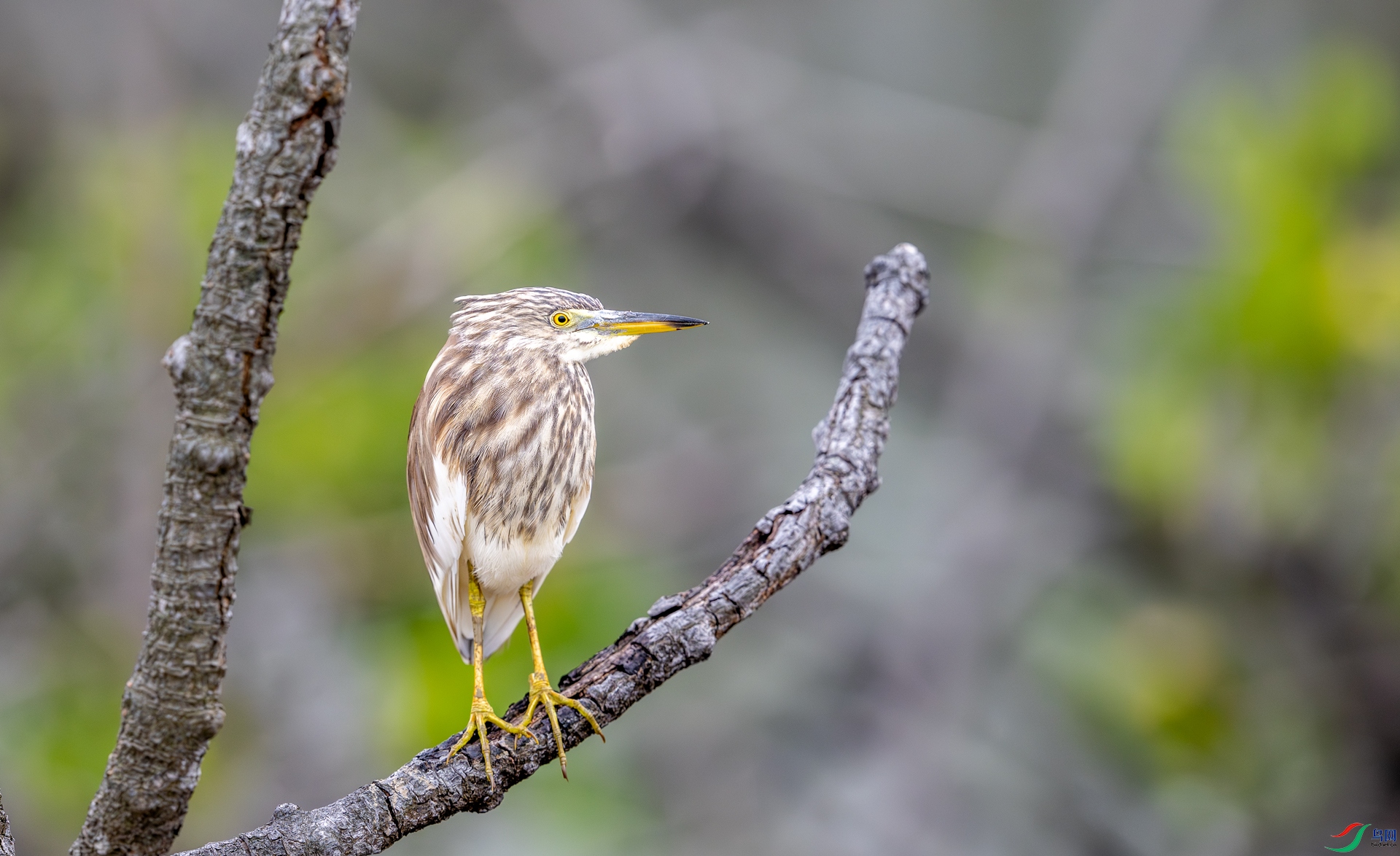 DSC_9166-1.jpg