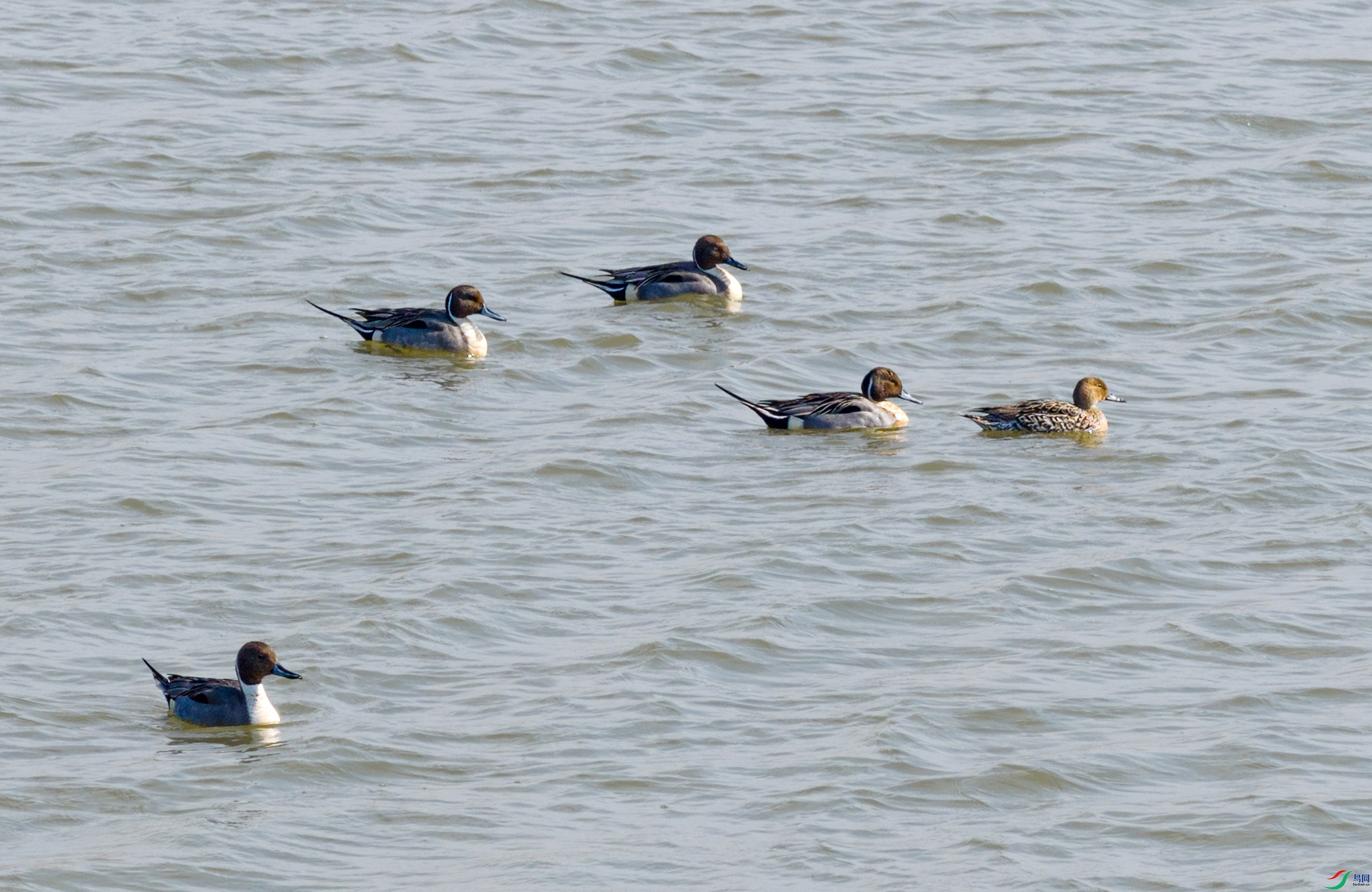 DJI_20260319094710_0304_D ����.jpg