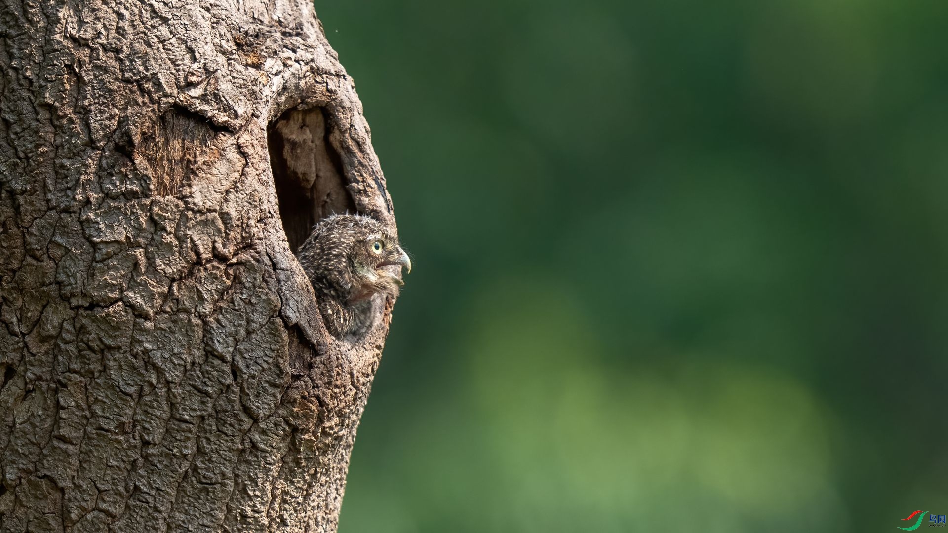 2��DSC08853 ����.jpg