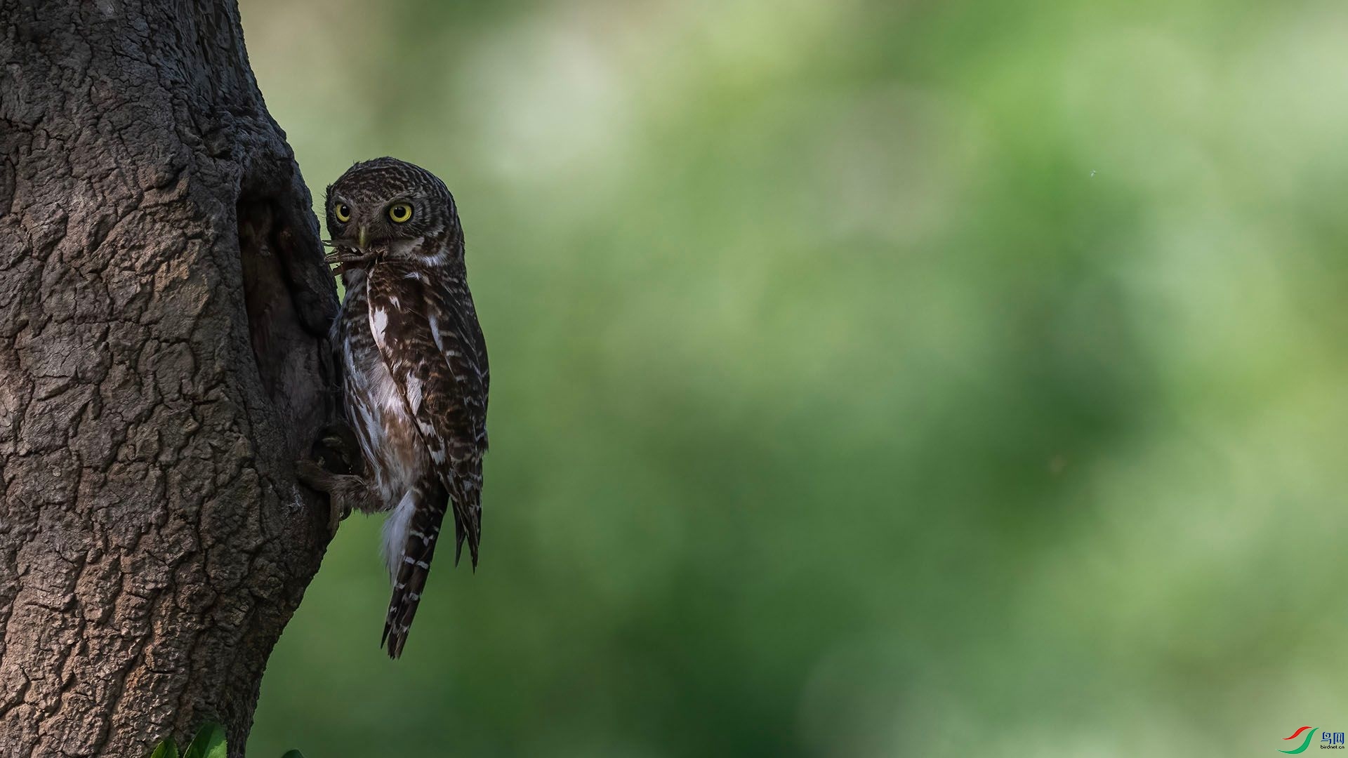 _DSC5100 ����.jpg