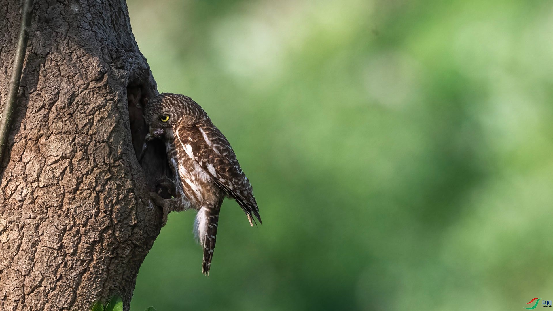 _DSC4997 ����.jpg