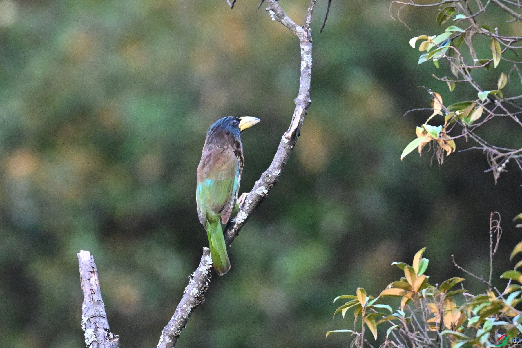 DSC_2541.JPG