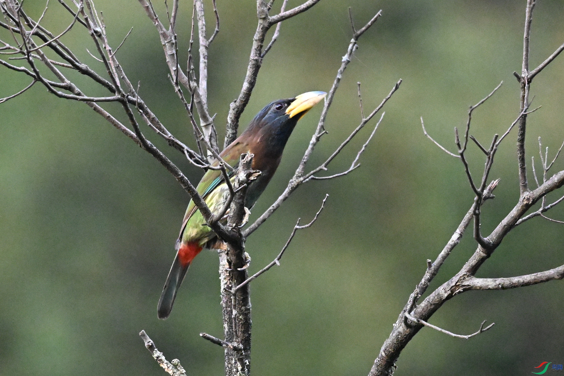 DSC_2550.JPG