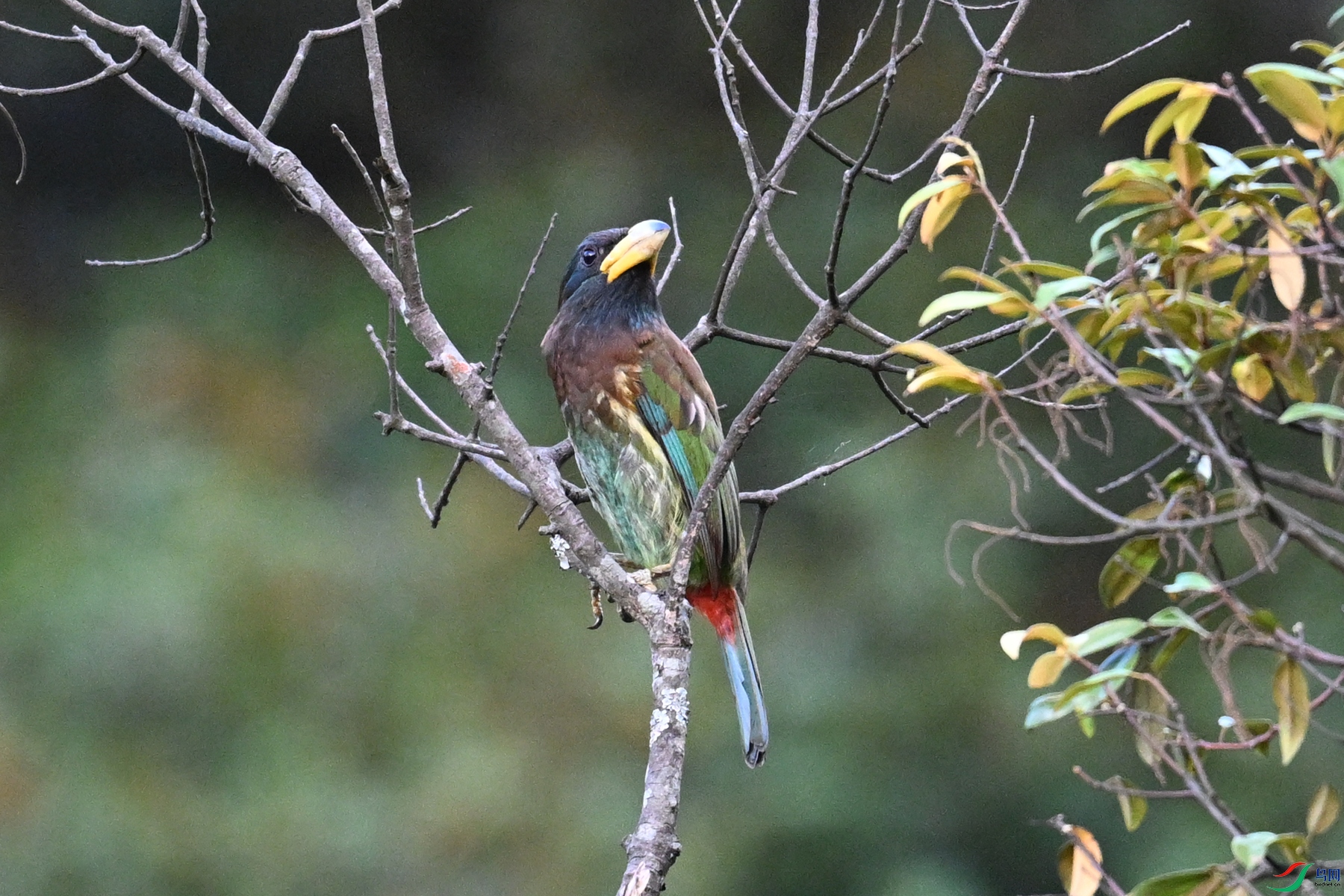 DSC_2564.JPG