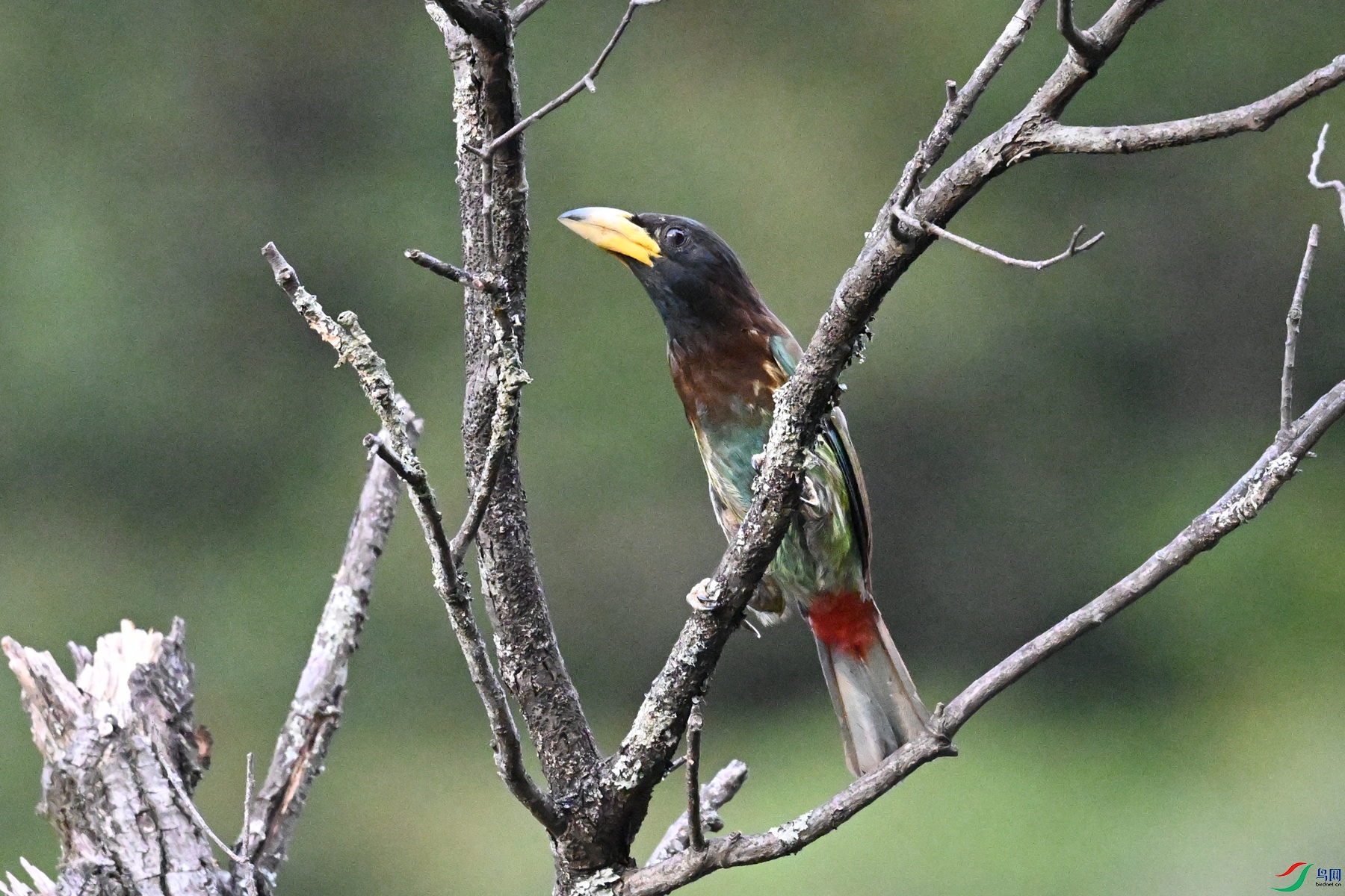 DSC_2543.JPG