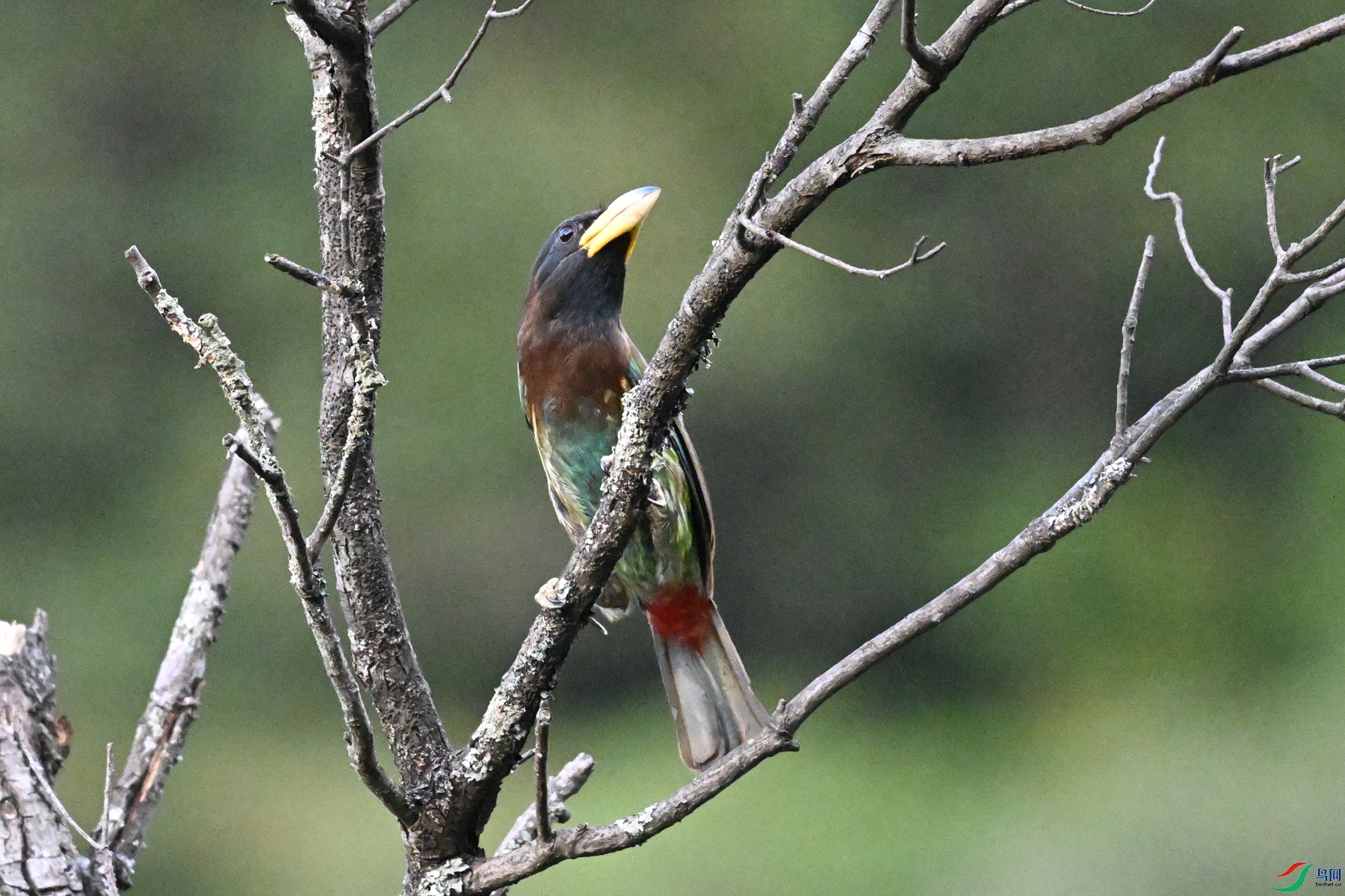 DSC_2547.JPG