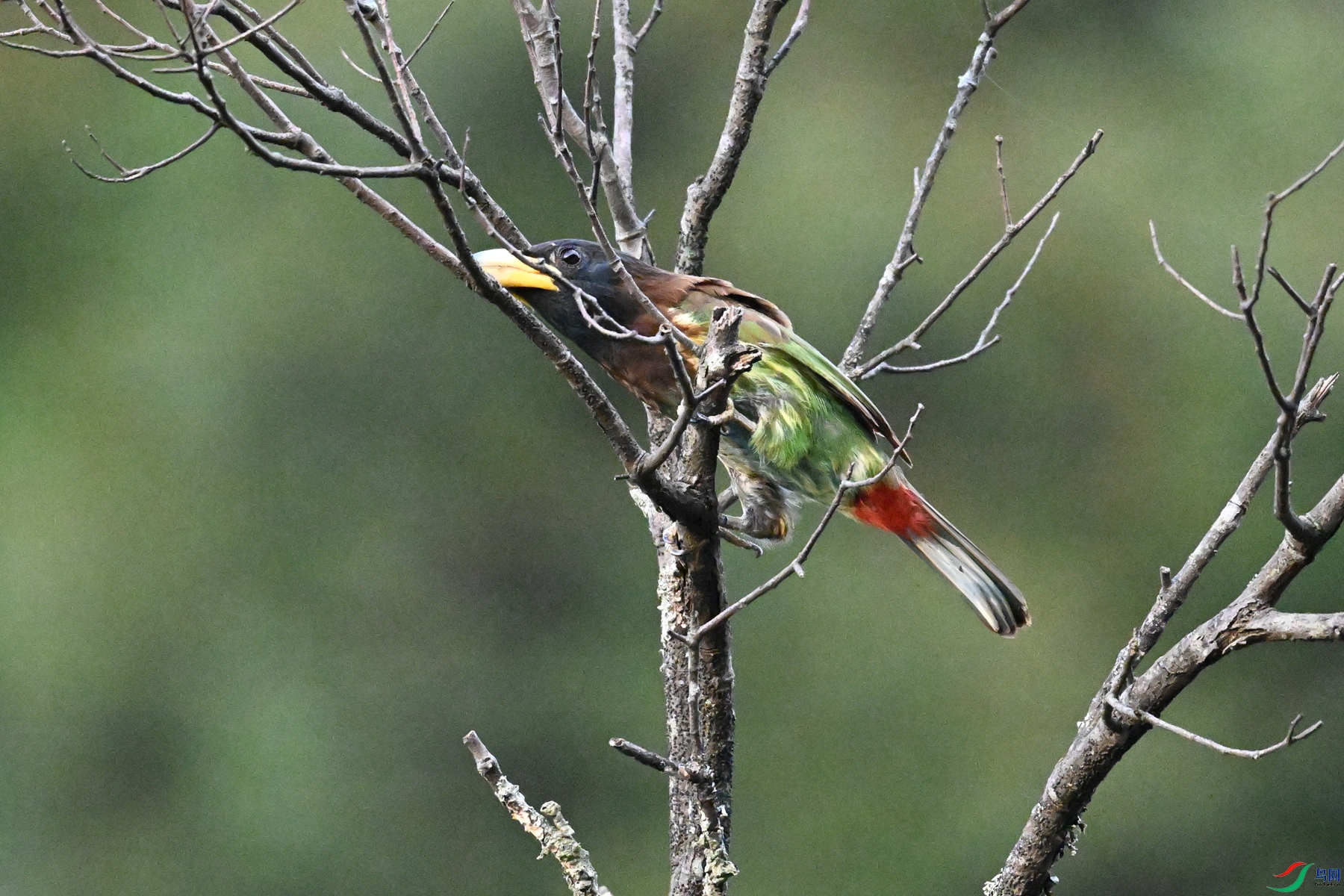 DSC_2553.JPG