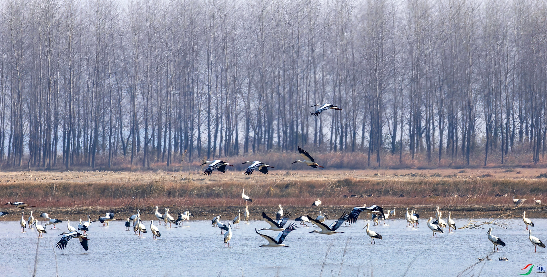 _60A9274-----33  .jpg