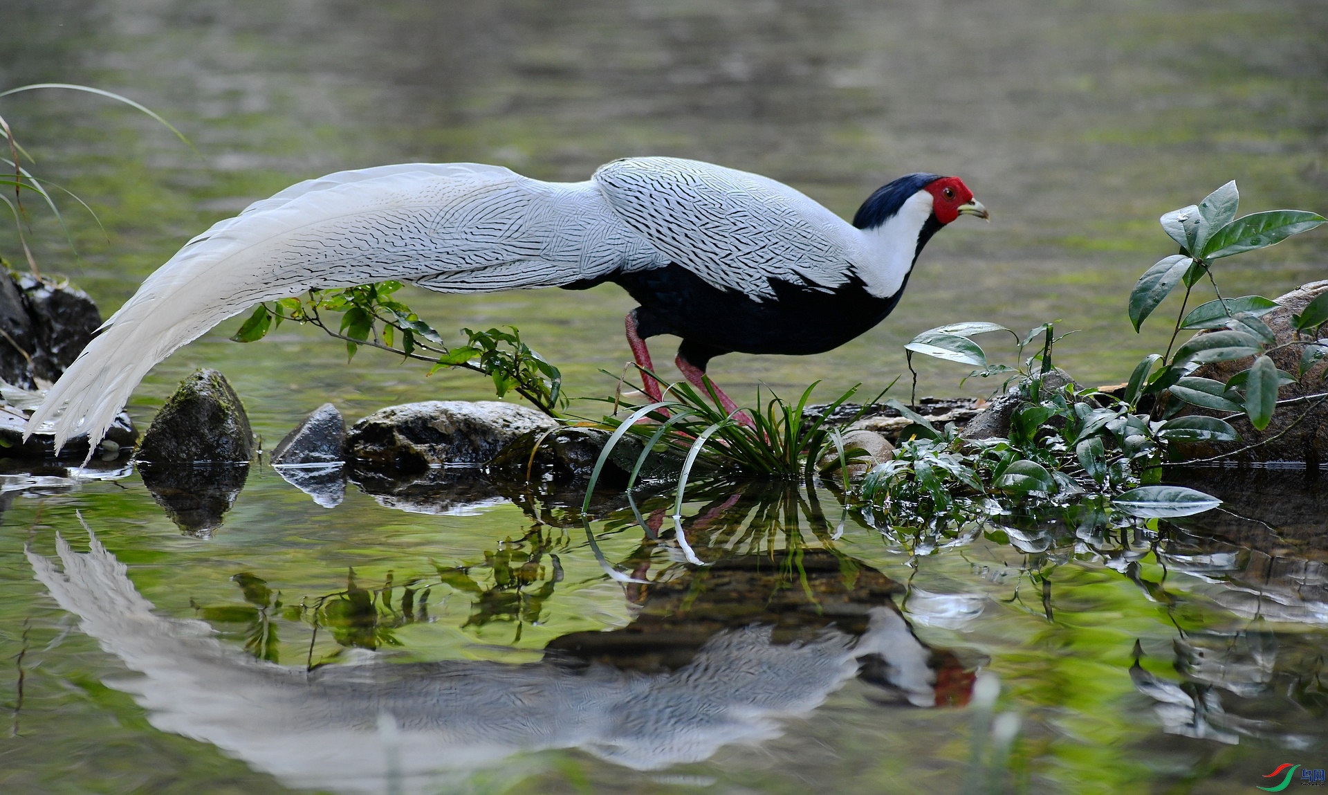 DSC_1885.jpg