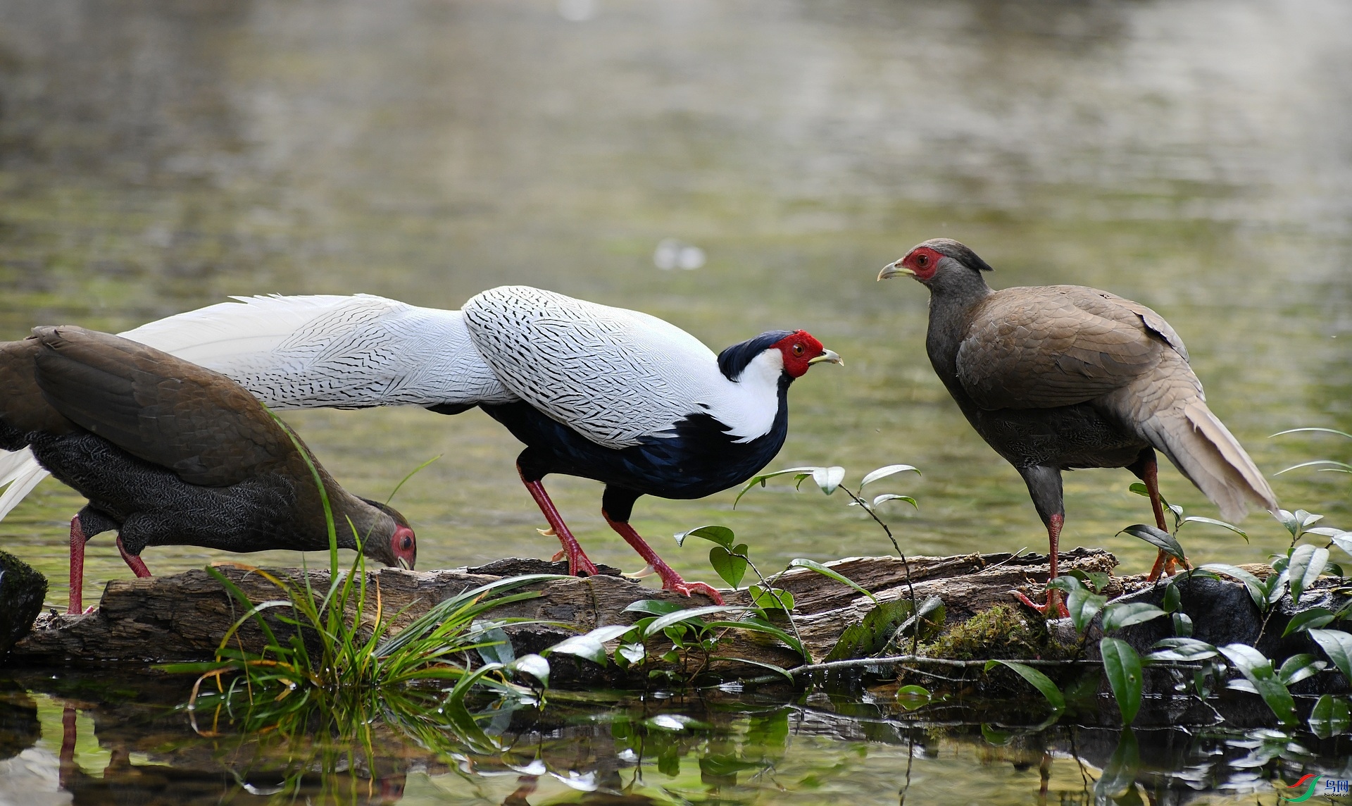 DSC_3772.jpg