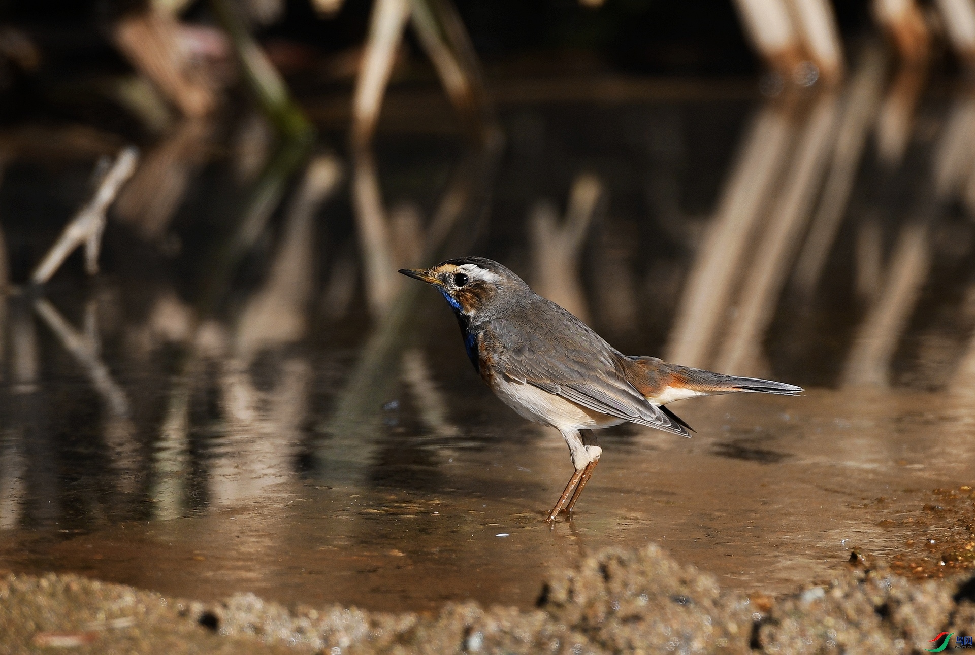 DSC_4947.jpg