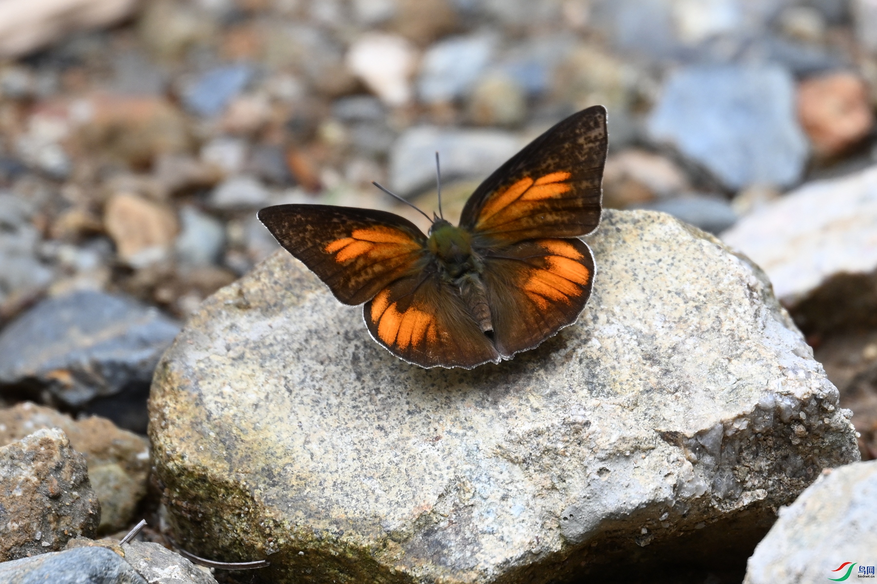 DSC_2922.JPG