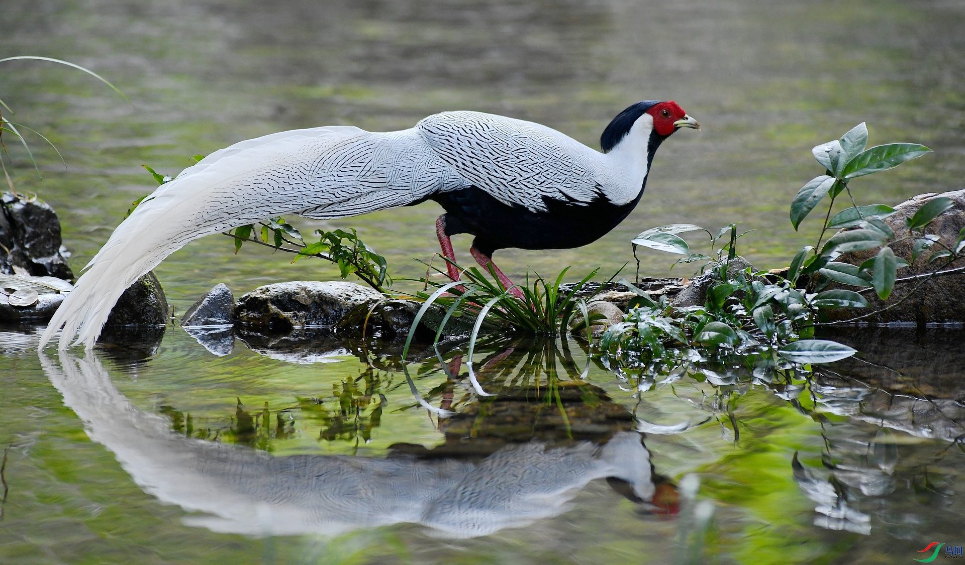 DSC_1889.jpg