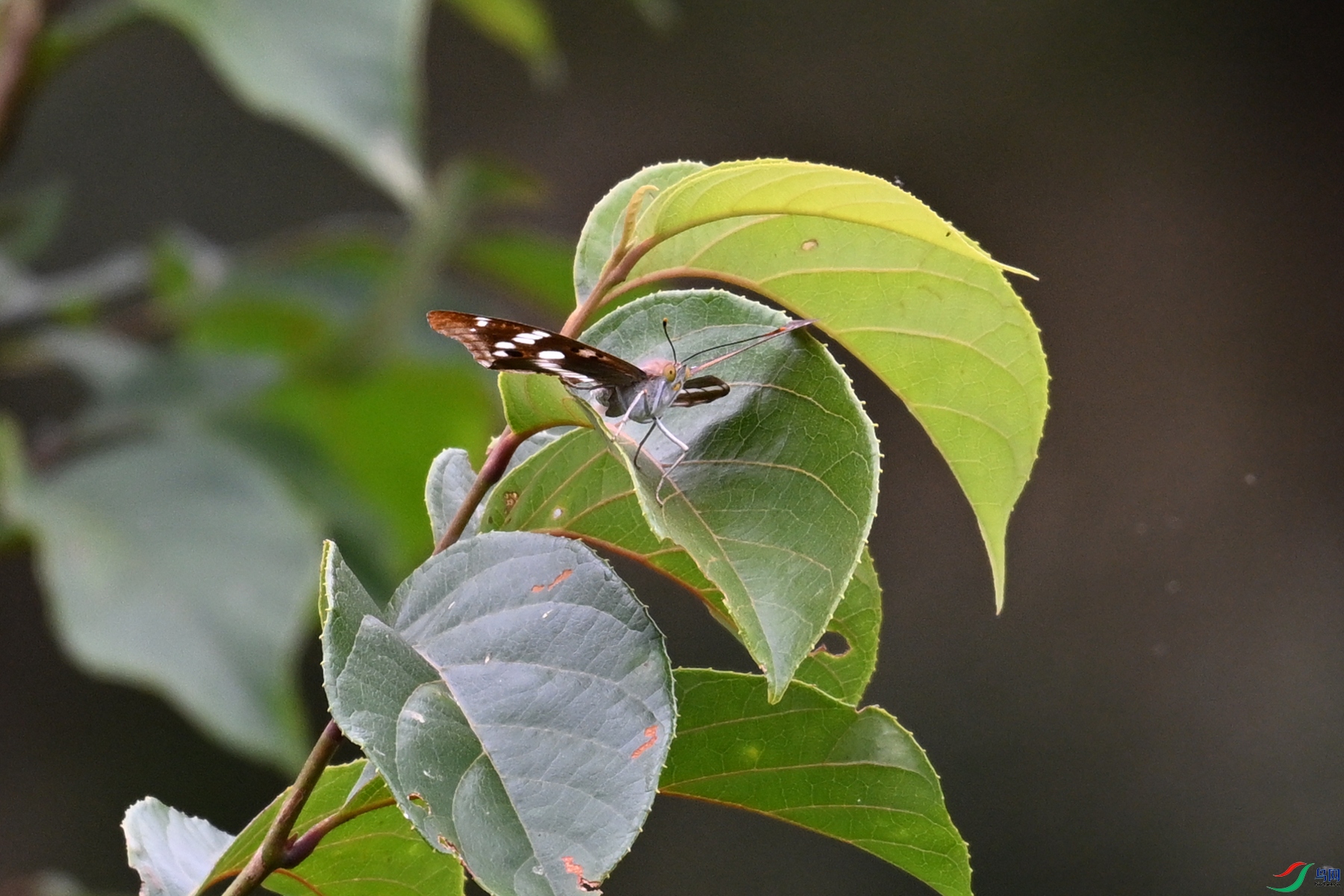 DSC_3403.JPG