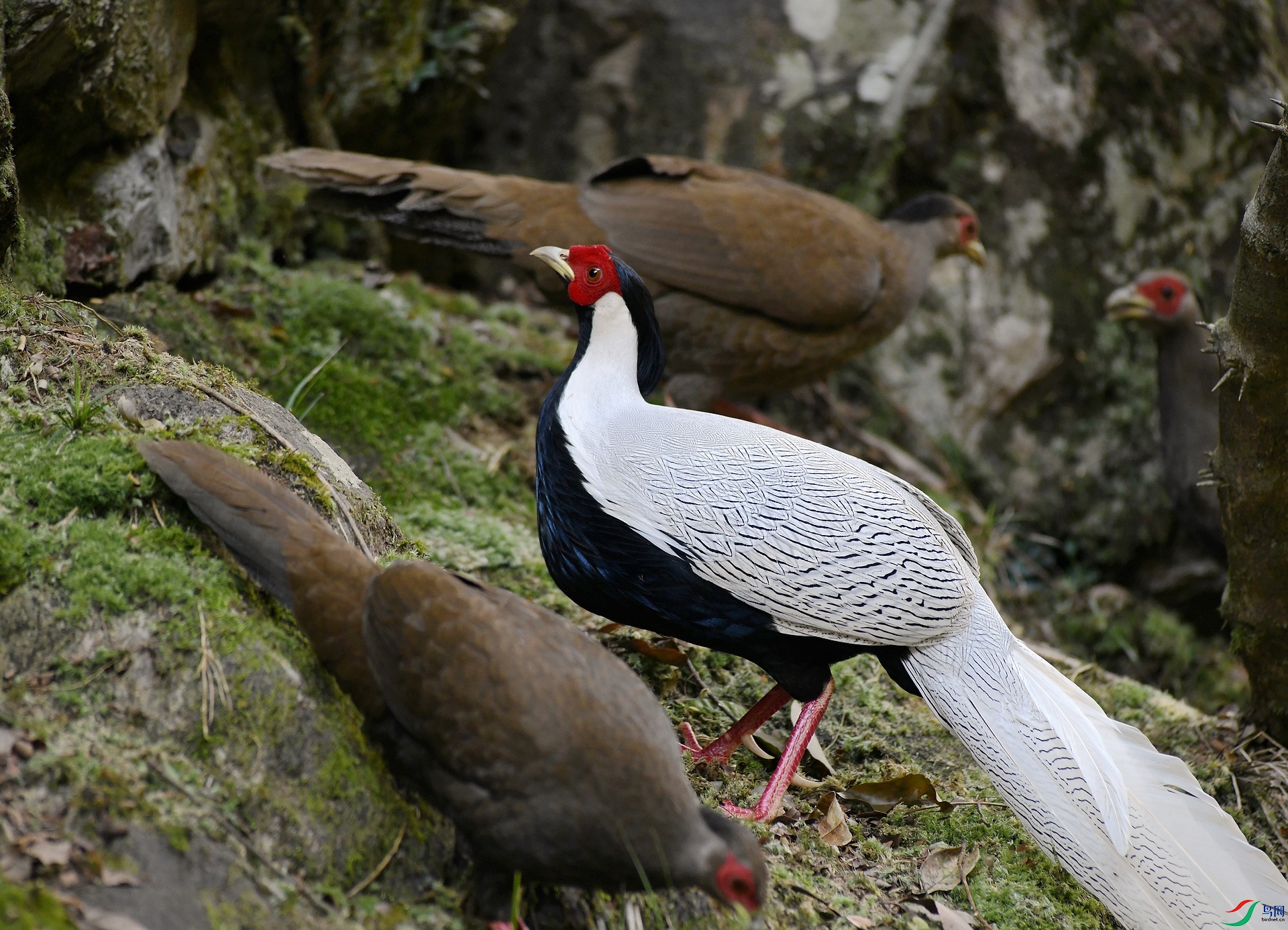 DSC_3883.jpg