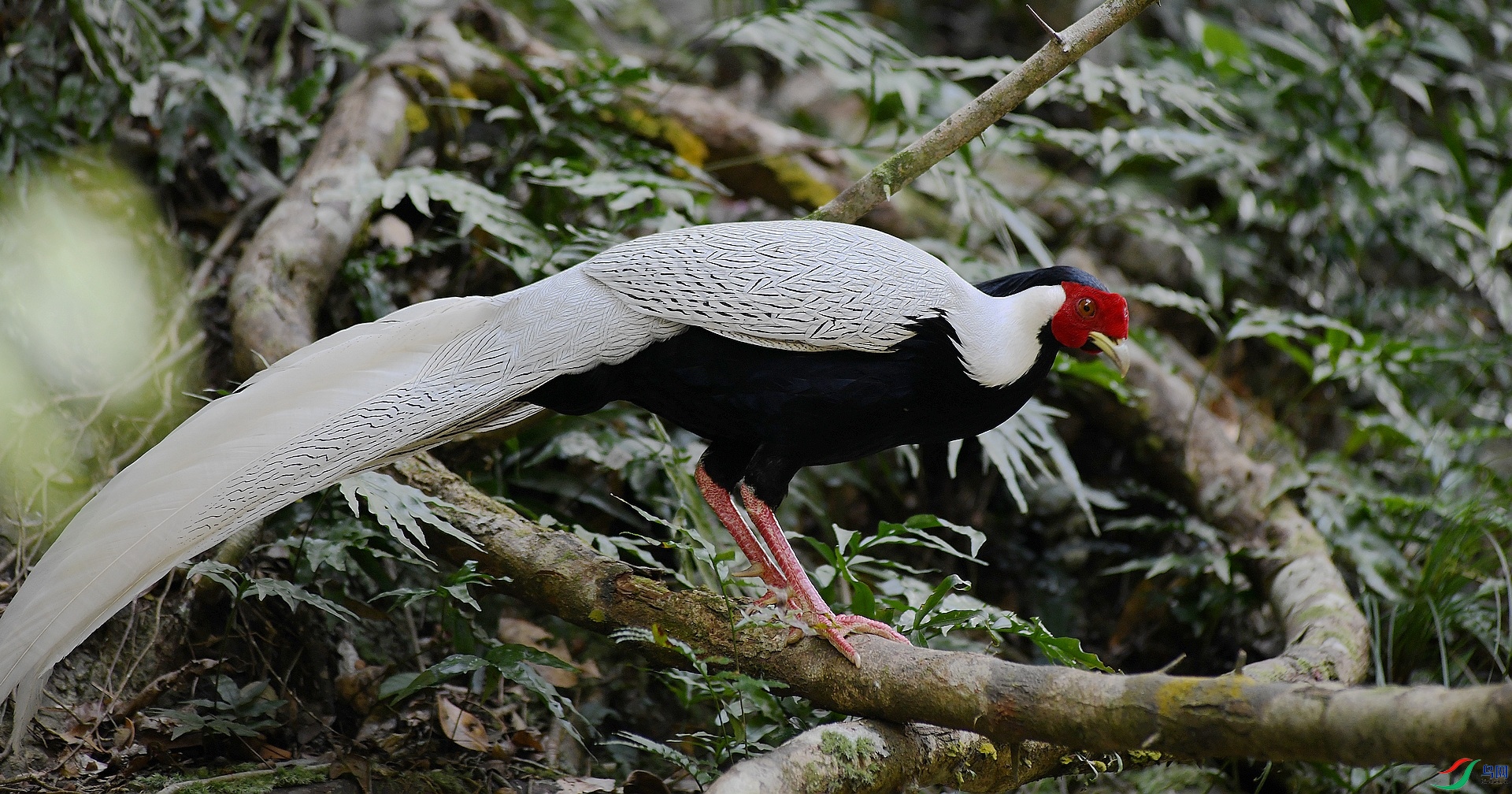 DSC_3823.jpg